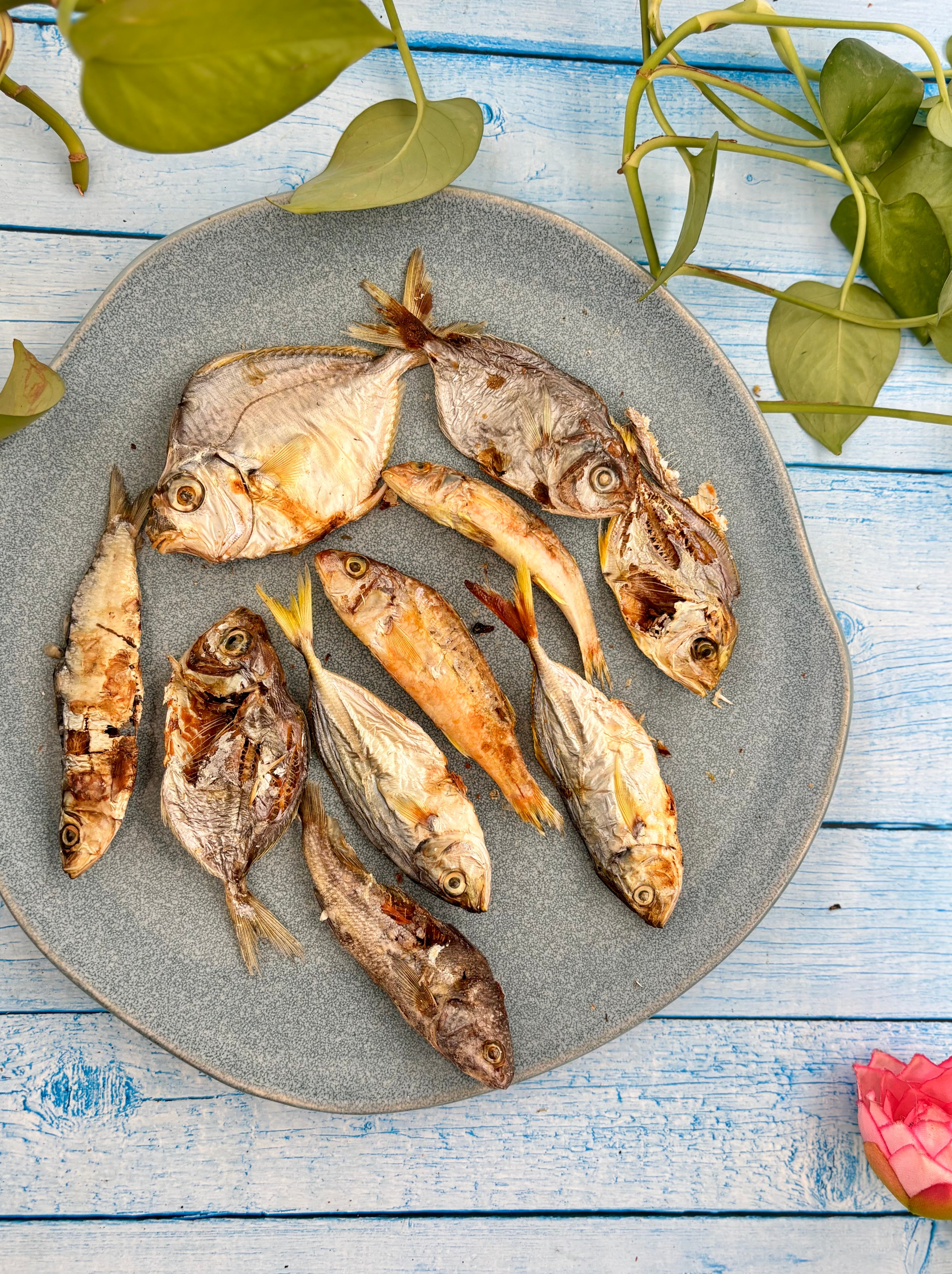 Ocean Mix - small Fish Variety - SPECIAL