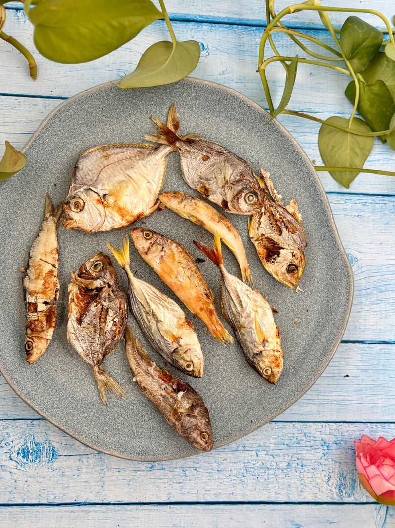 Ocean Mix - small Fish Variety - SPECIAL