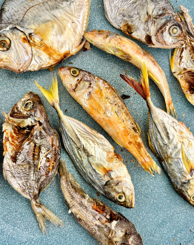 All Fish Mix Ocean Mix - Small Fish Variety