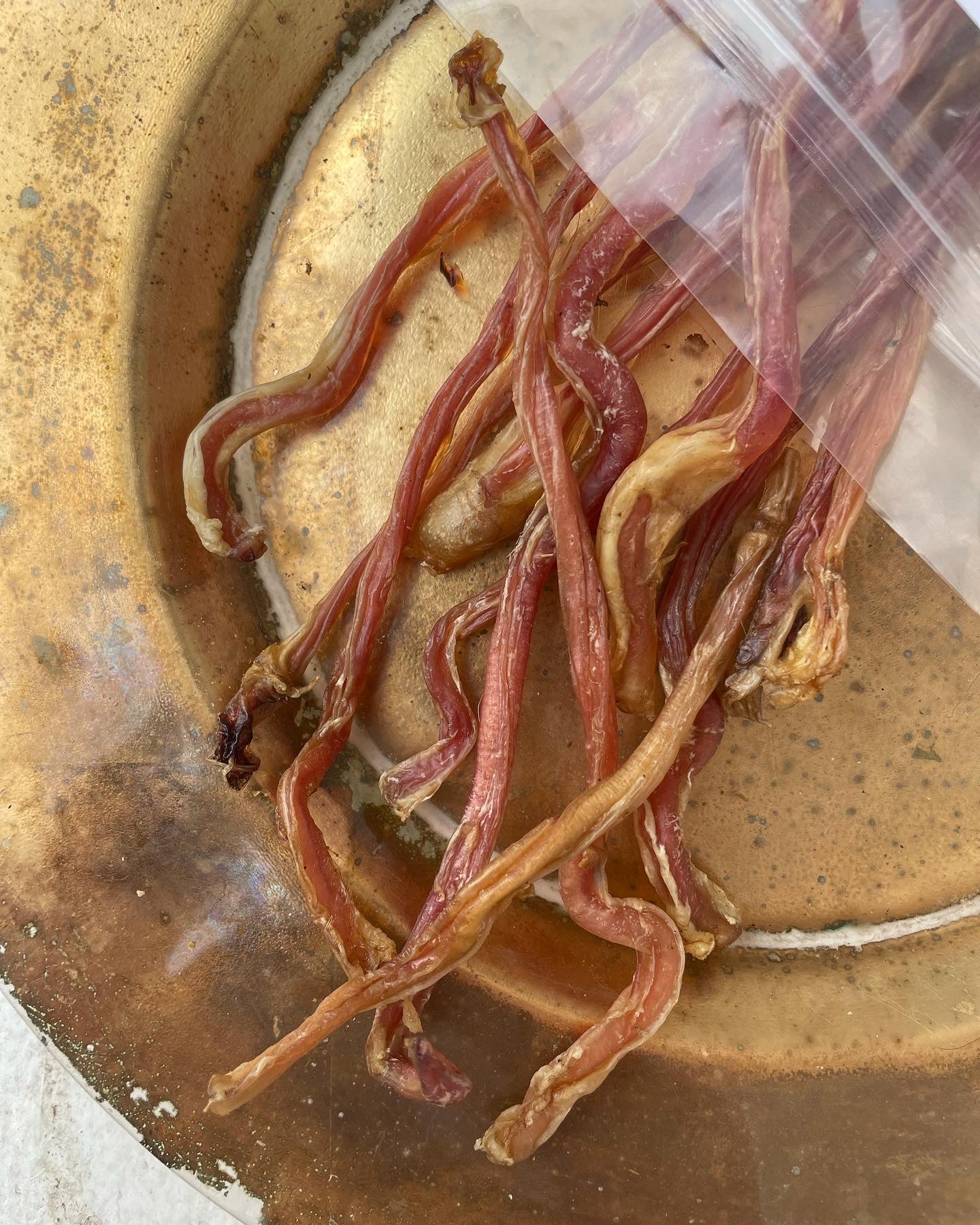 Goat Pizzle Chews - SPECIAL
