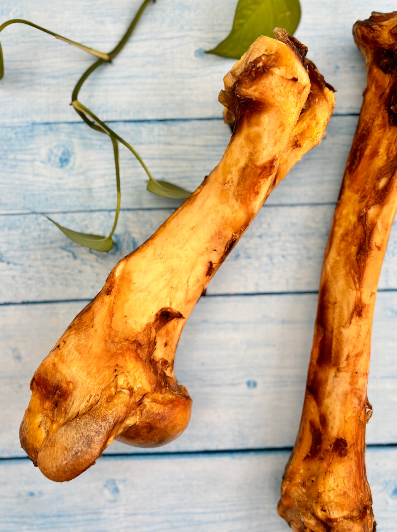 Beef Jumbo Bones - Megasize Chewbone - SPECIAL