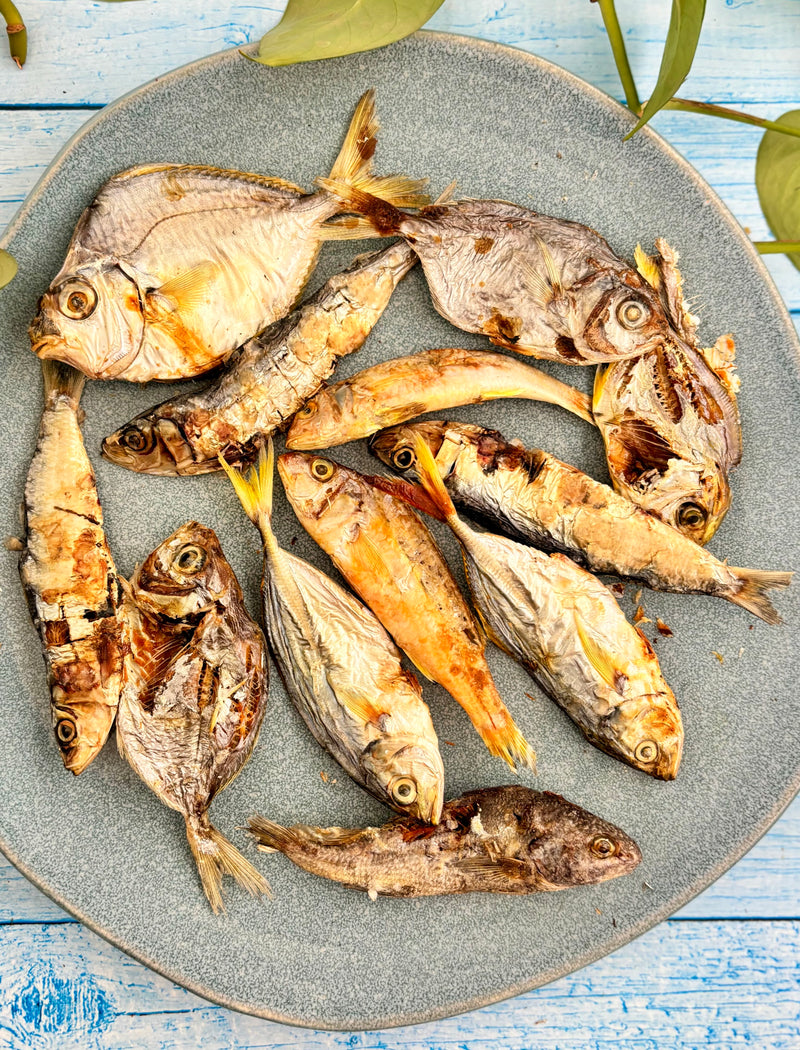 Ocean Mix - small Fish Variety - SPECIAL