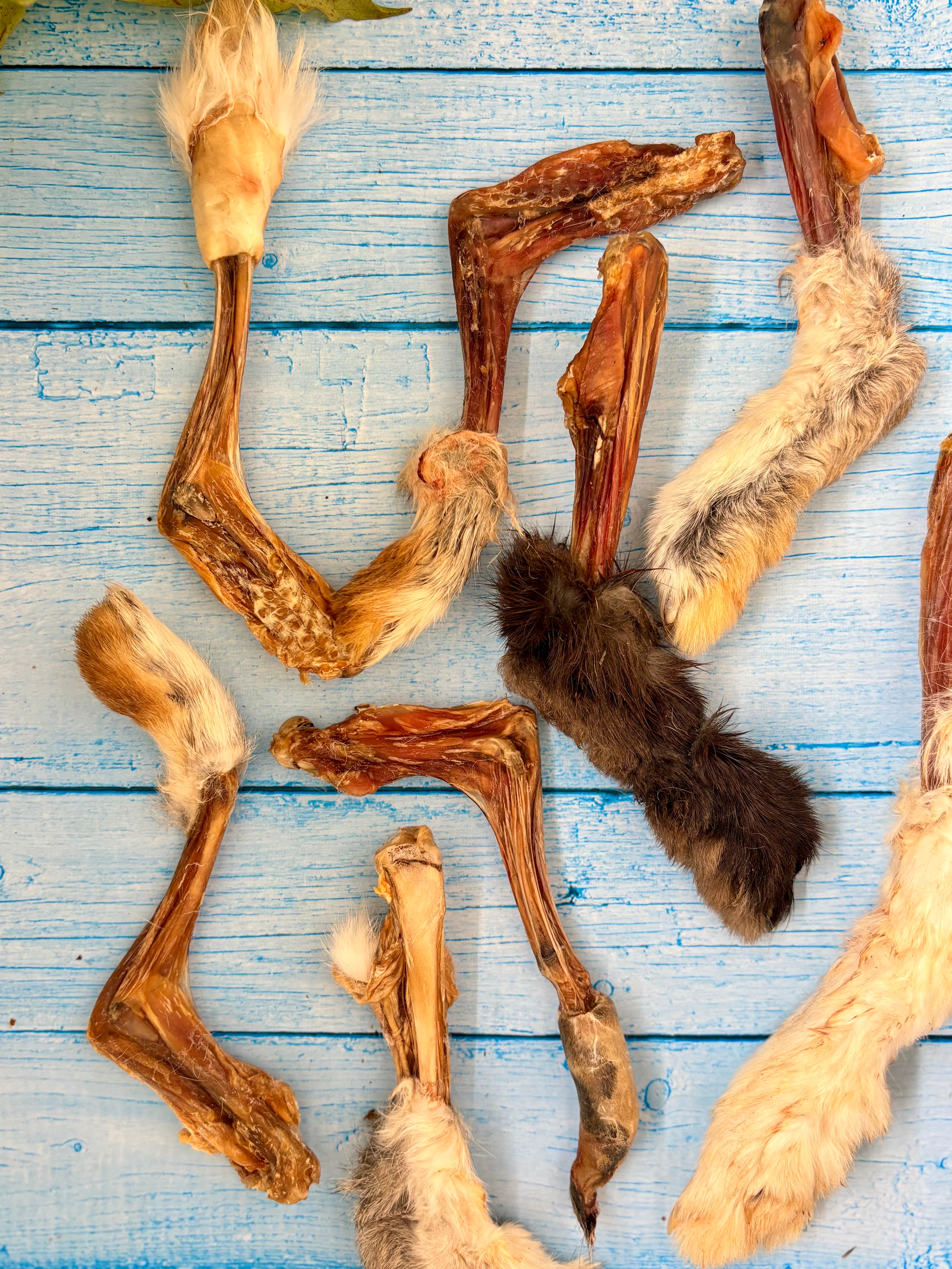Rabbit Paw Pack - detoxing Chew