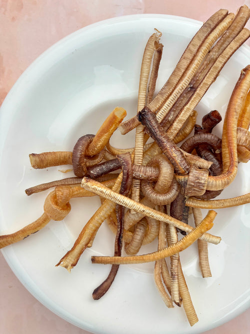 Mini Tracheas - Turkey & Duck Mix