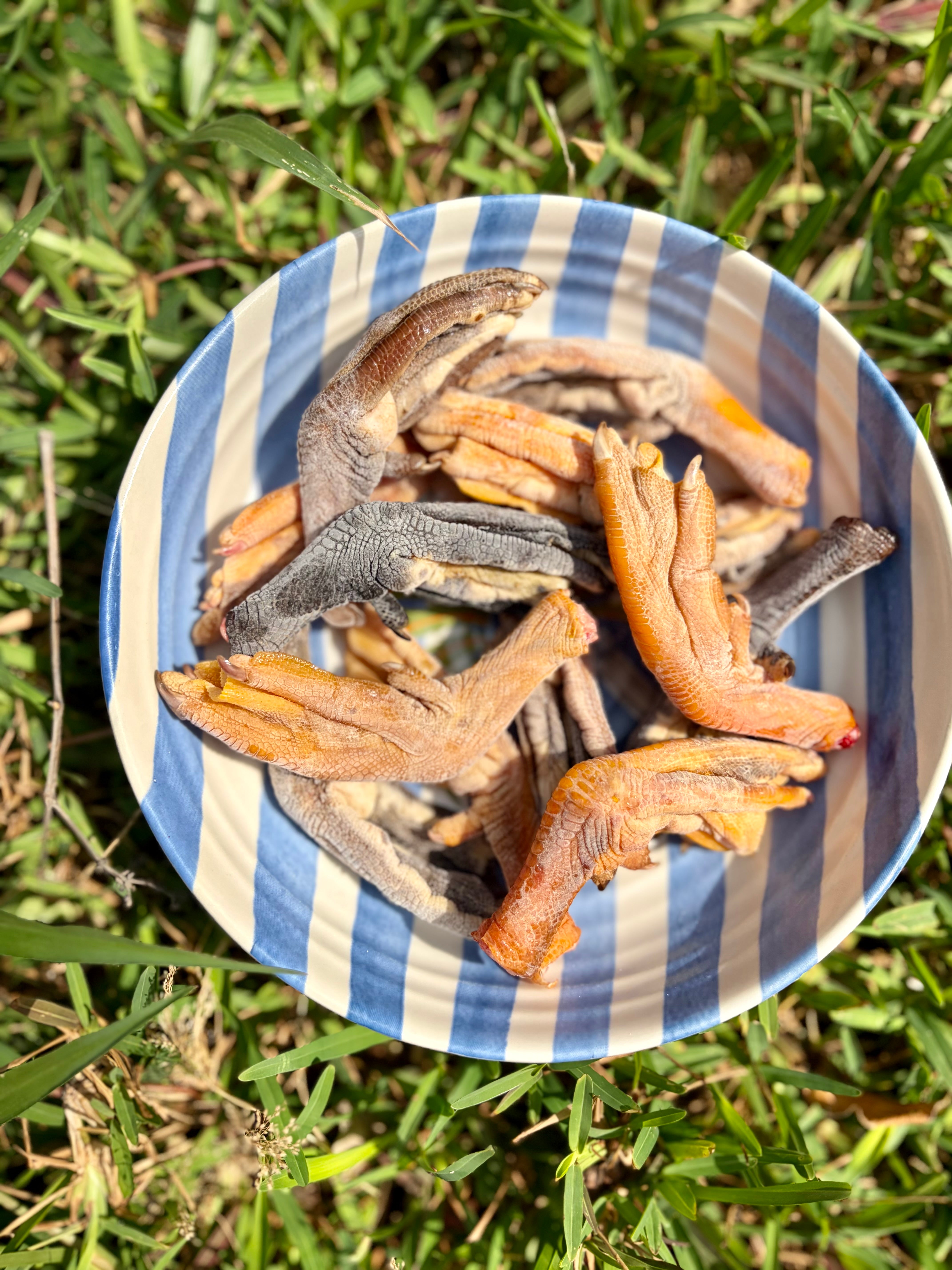 Duck Bones (Variety)