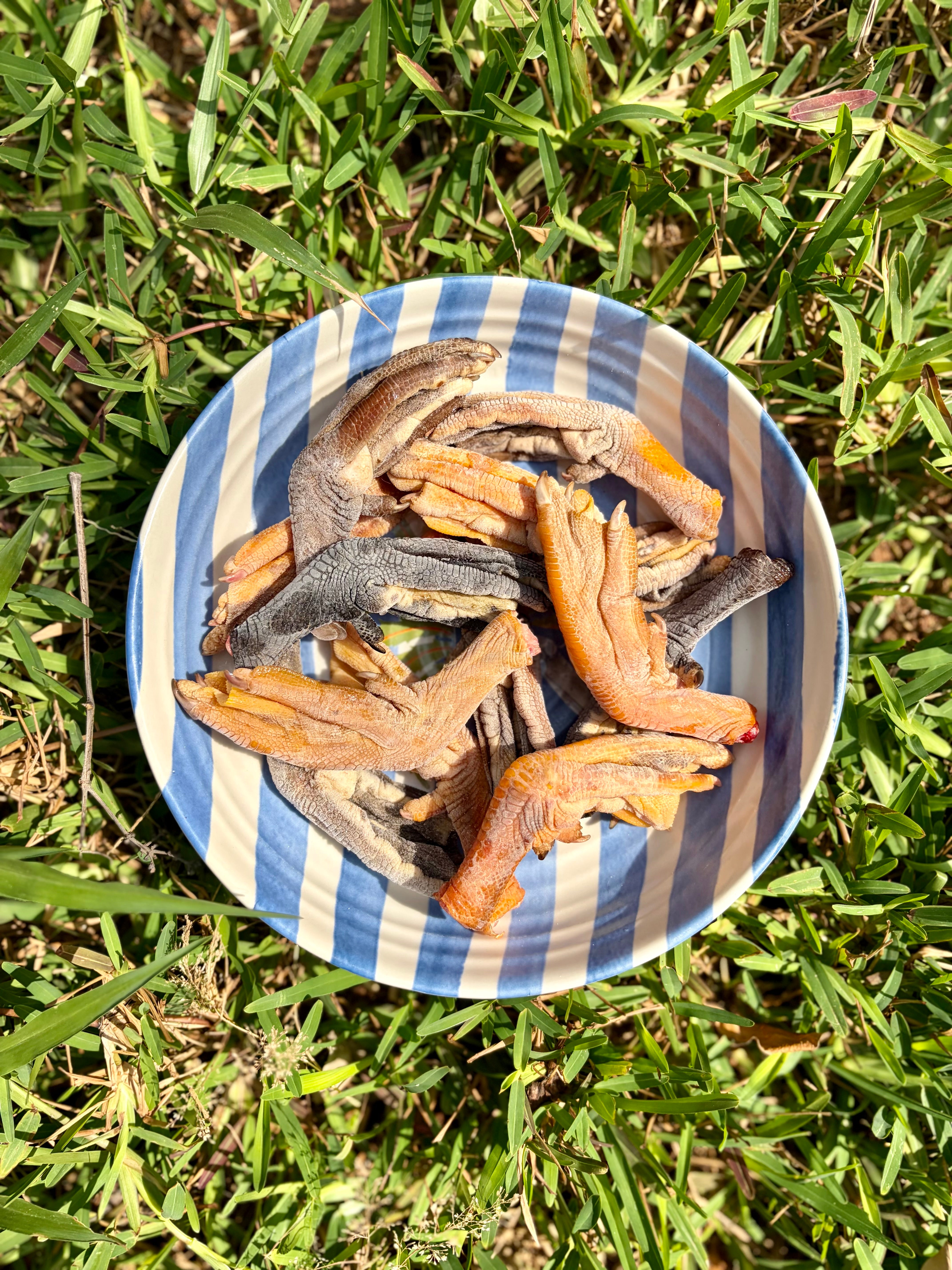 Duck Bones (Variety)