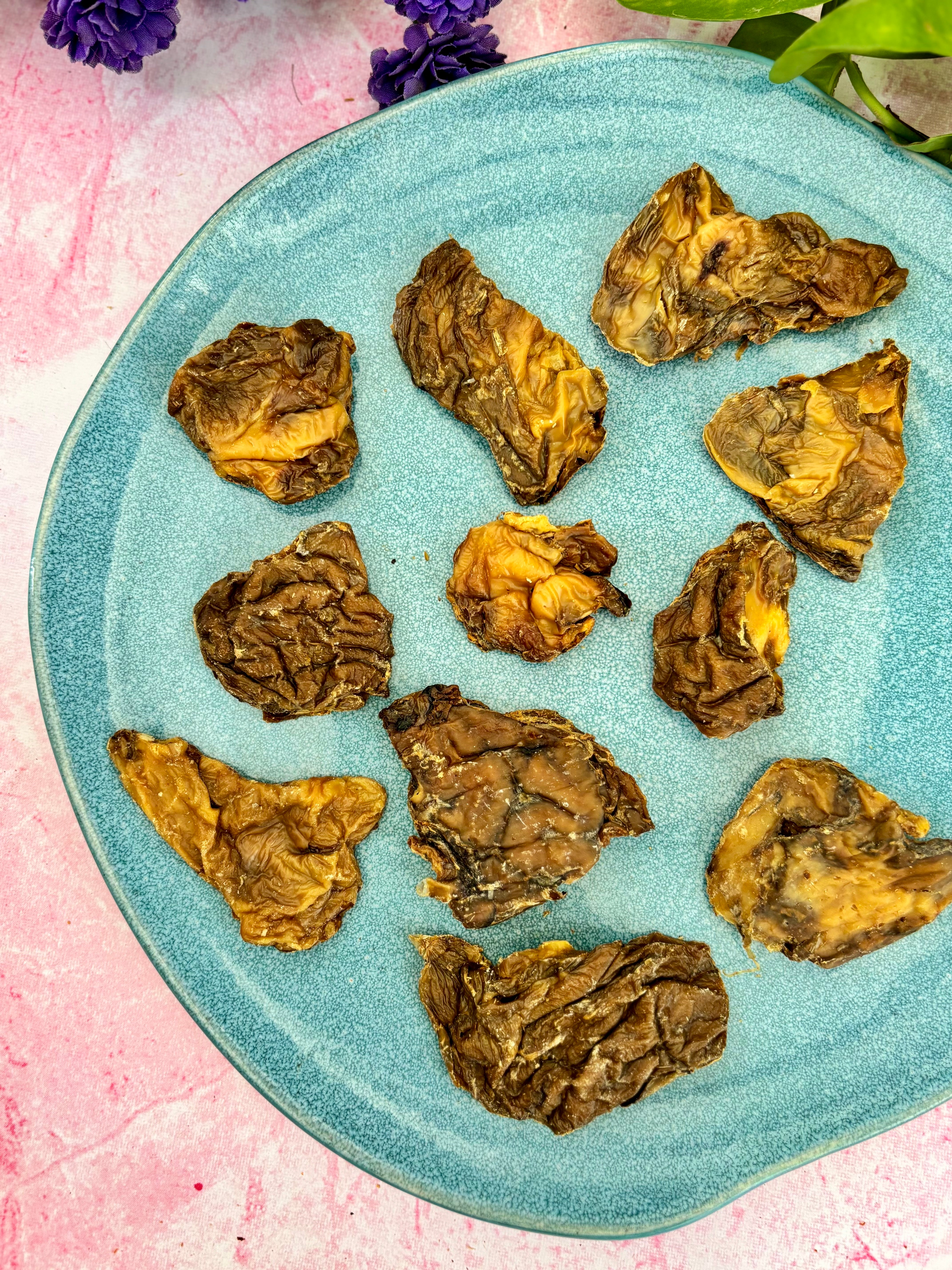 Beef Brain Chips - SPECIAL