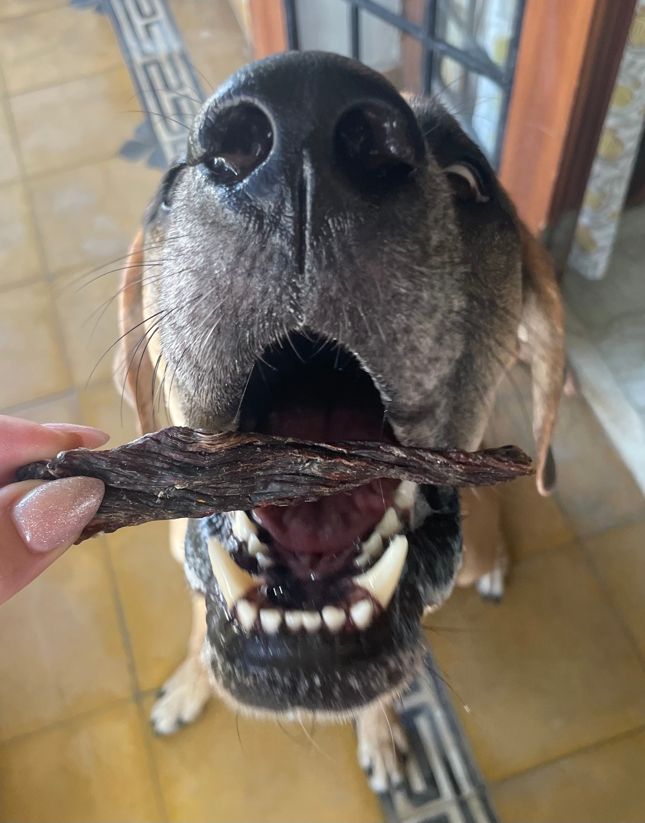 Beef Gullet - SPECIAL
