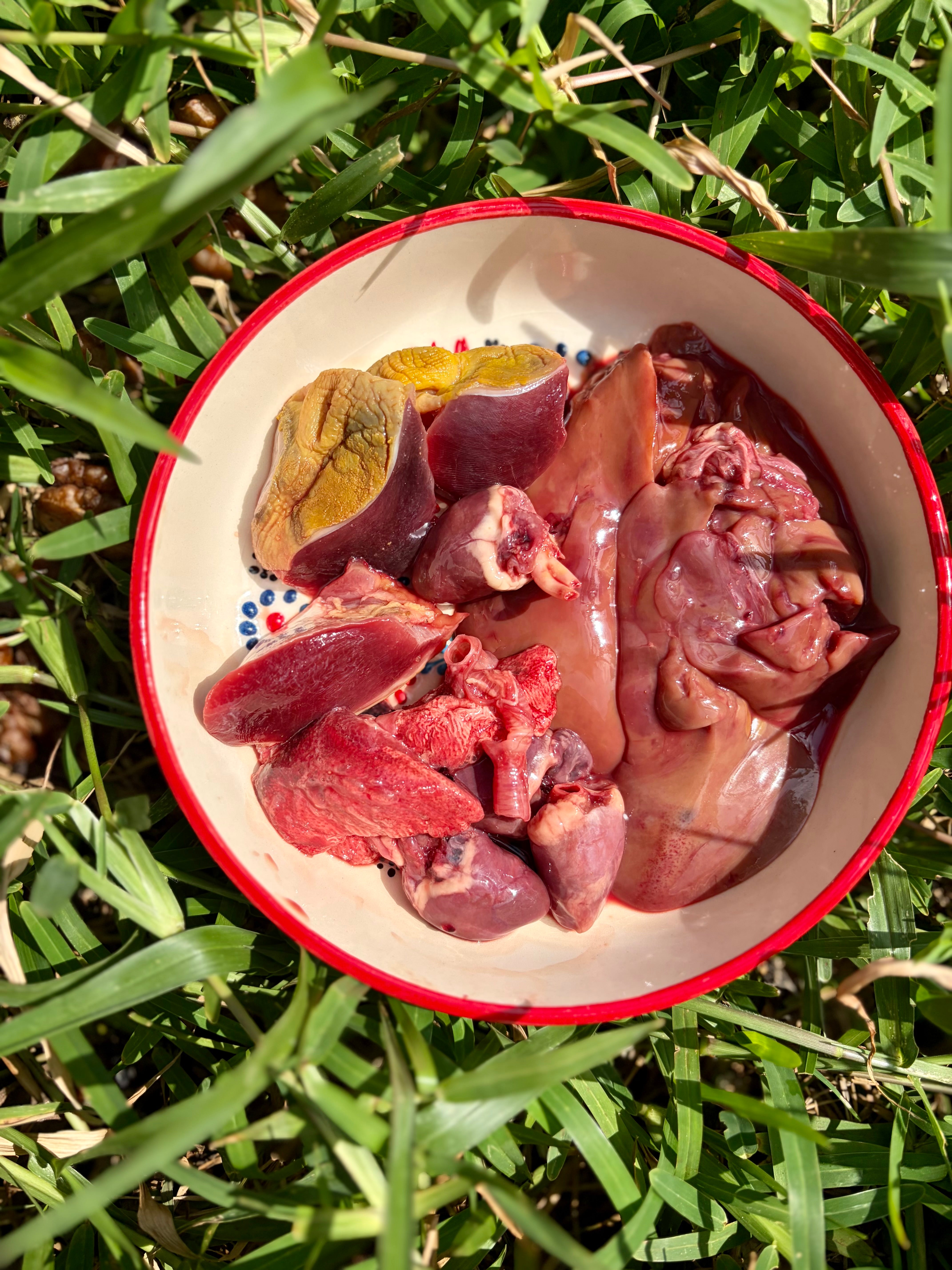 Duck Organs (Variety)