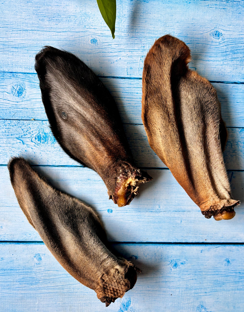 Beef Ears with Cartilage - SPECIAL
