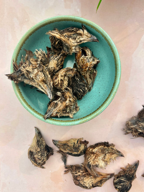 Quail Crunchy Heads