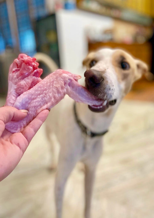 Turkey Meaty Bones