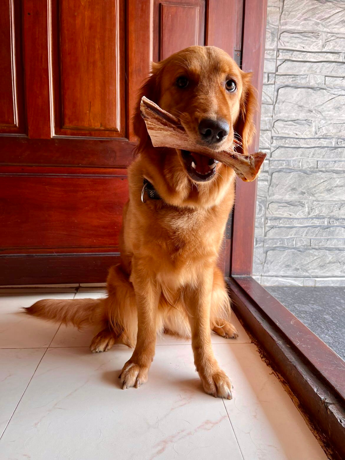 Beef Shoulder Bone 3PC