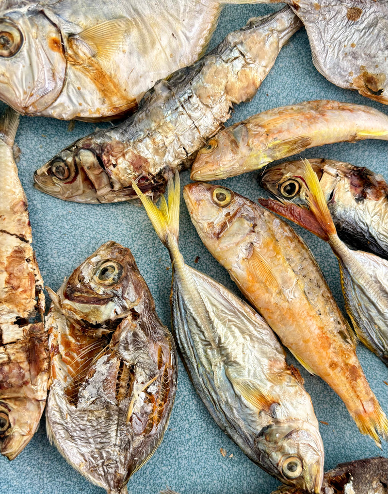 Ocean Mix - small Fish Variety - SPECIAL