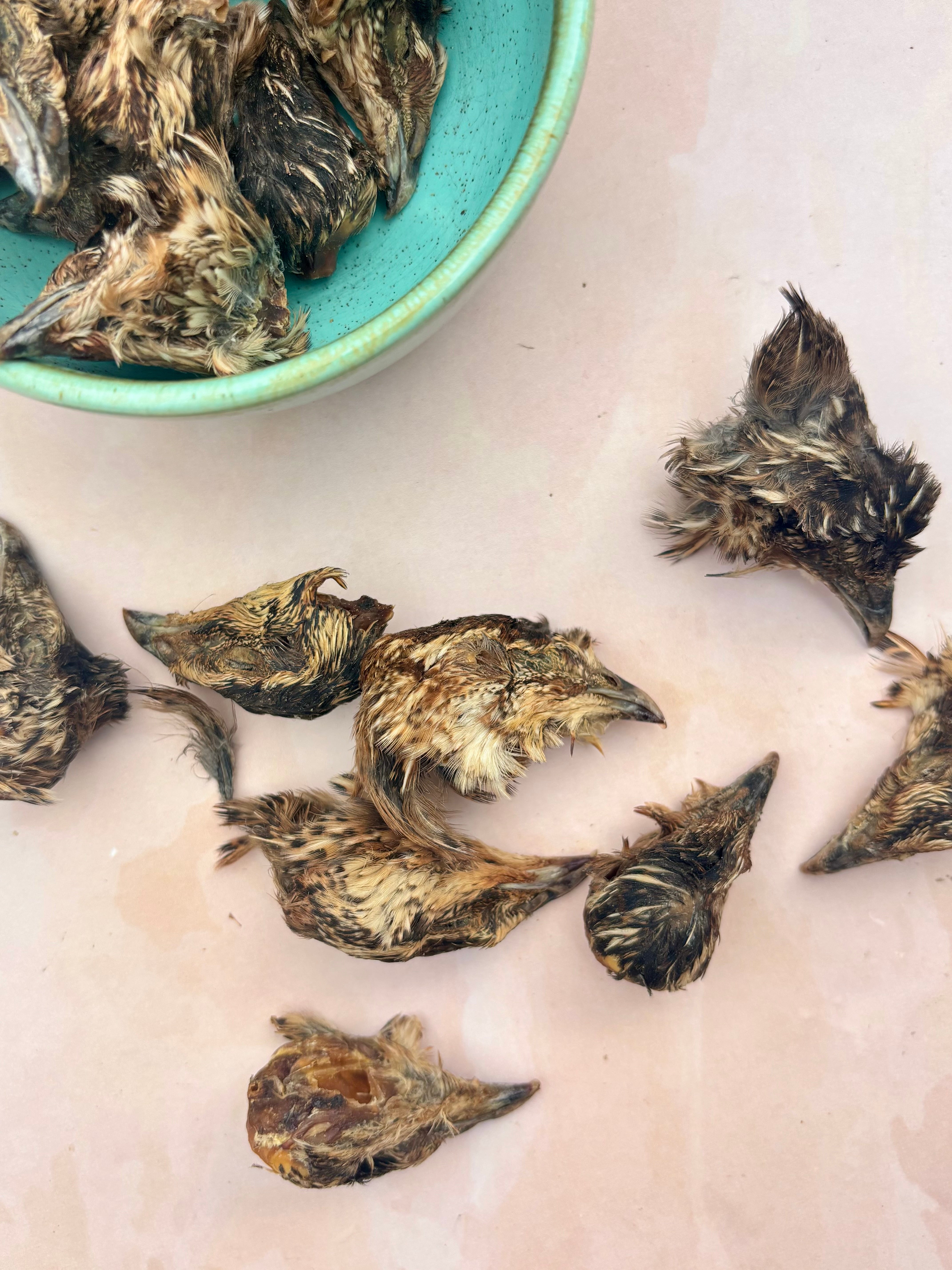 Quail Crunchy Heads