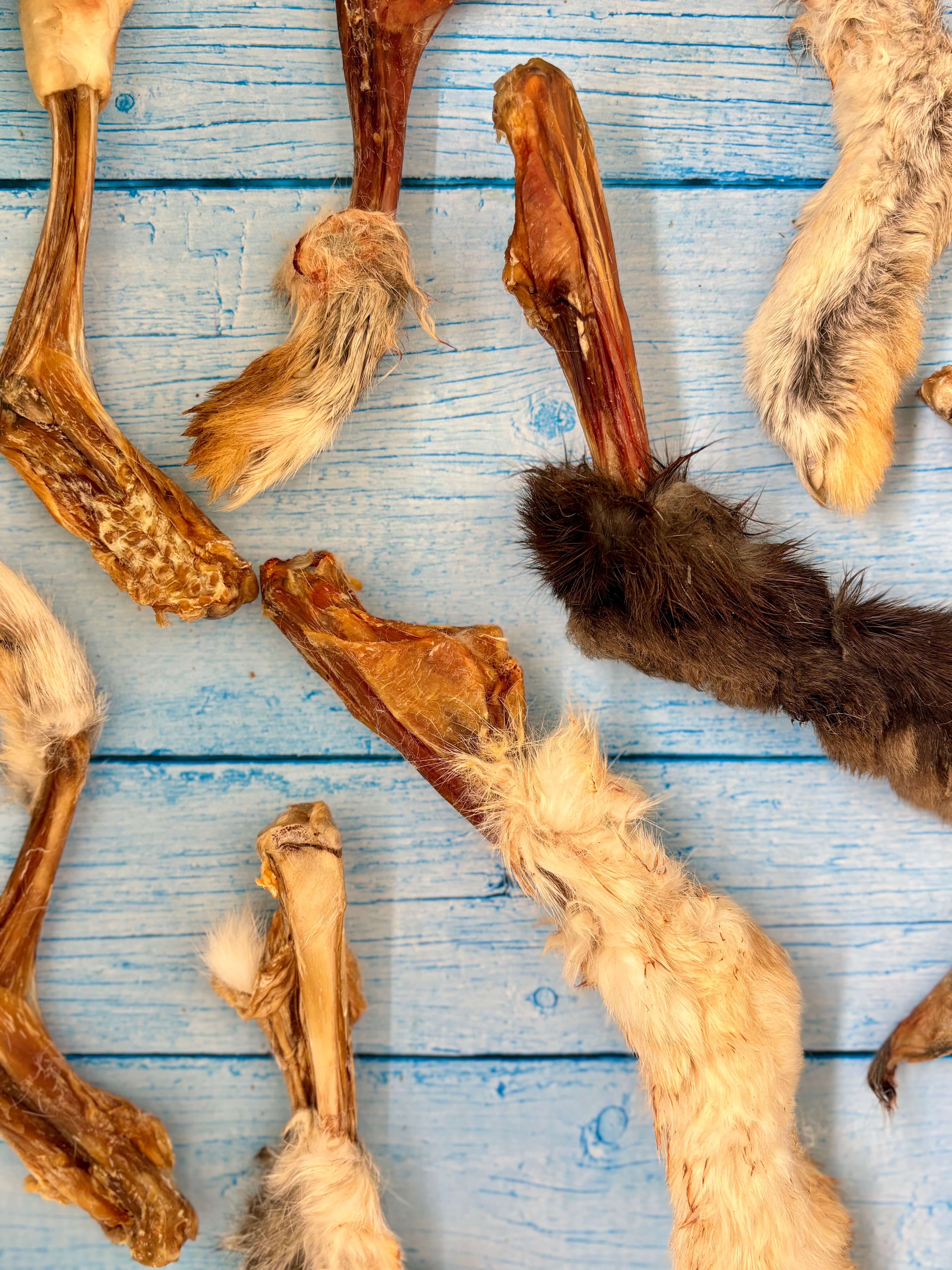 Rabbit Paw Pack - detoxing Chew