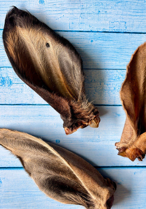 Beef Ears with Cartilage - SPECIAL
