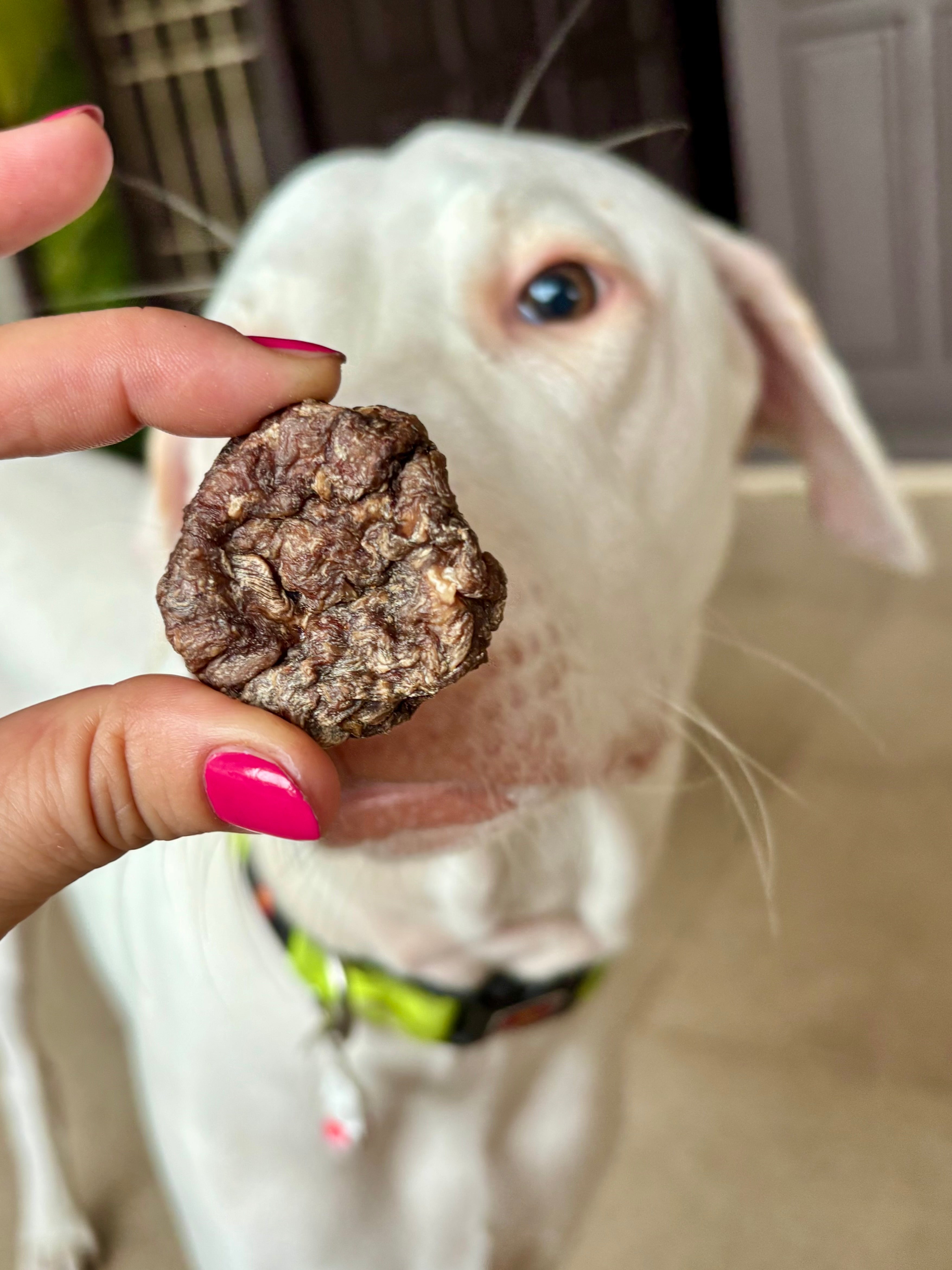 Goat Cookies - SPECIAL