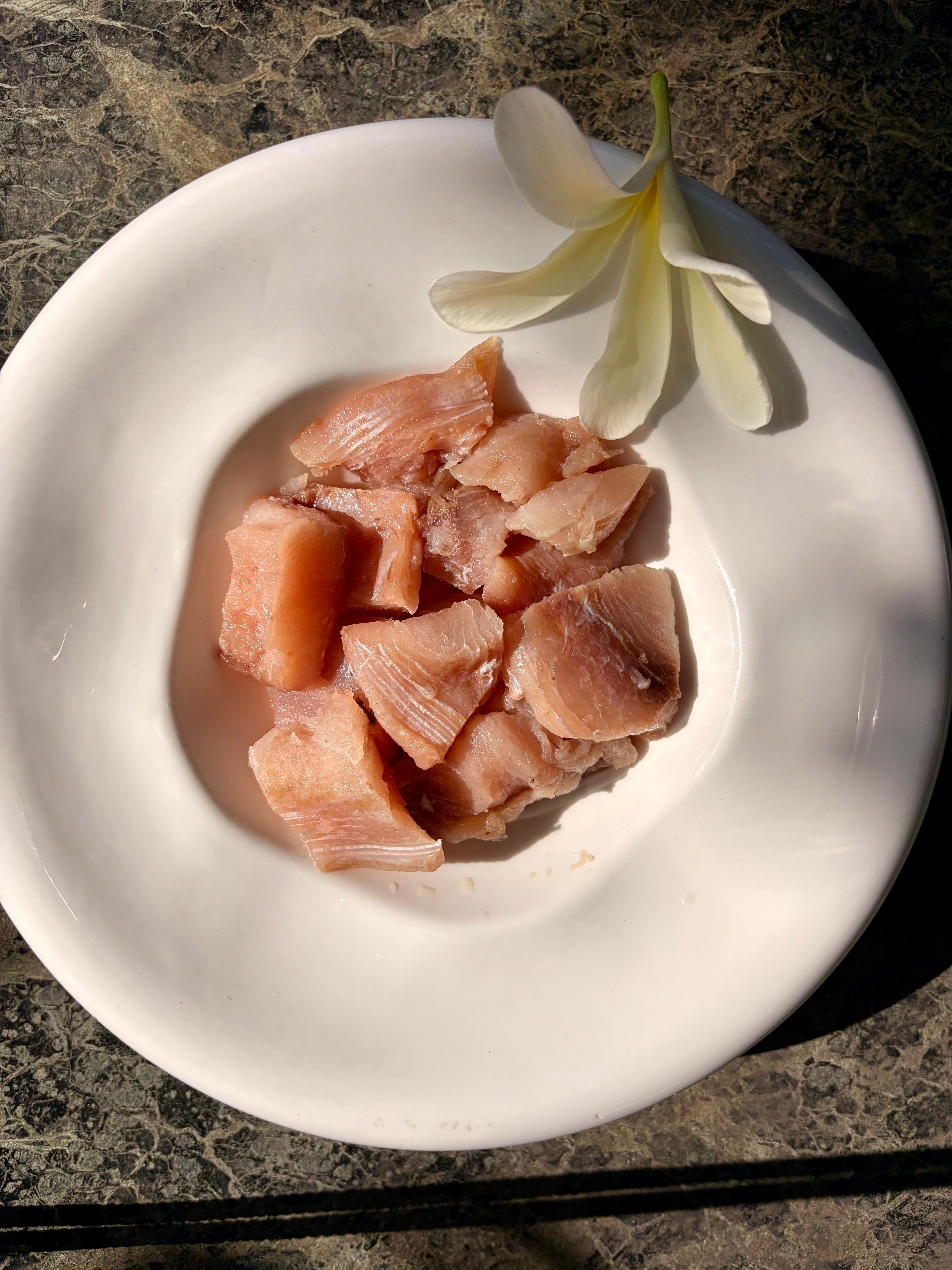 Mahi Mahi Fish Fillet