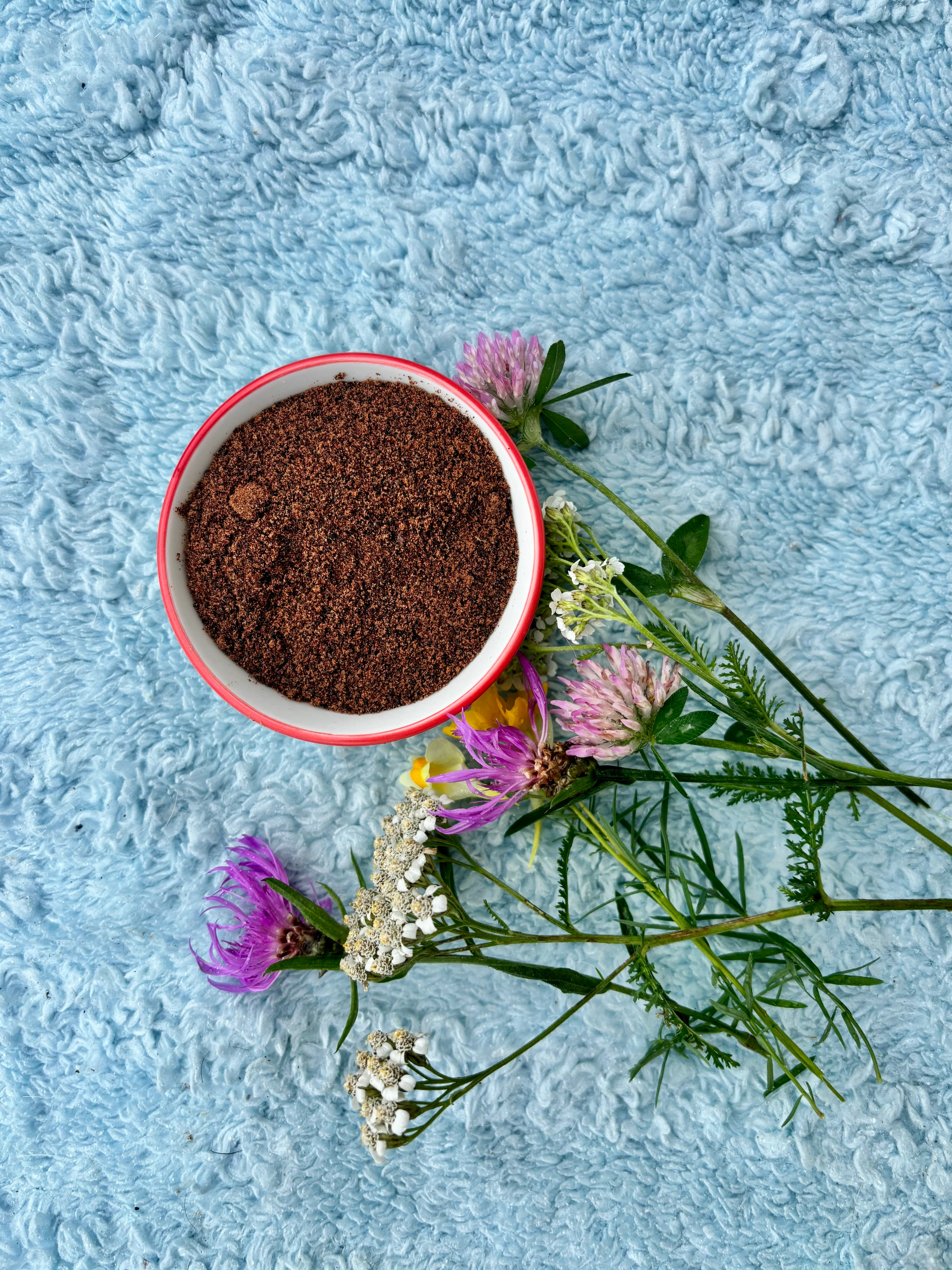 Chicken Organ Blend - Multivitamin Powder