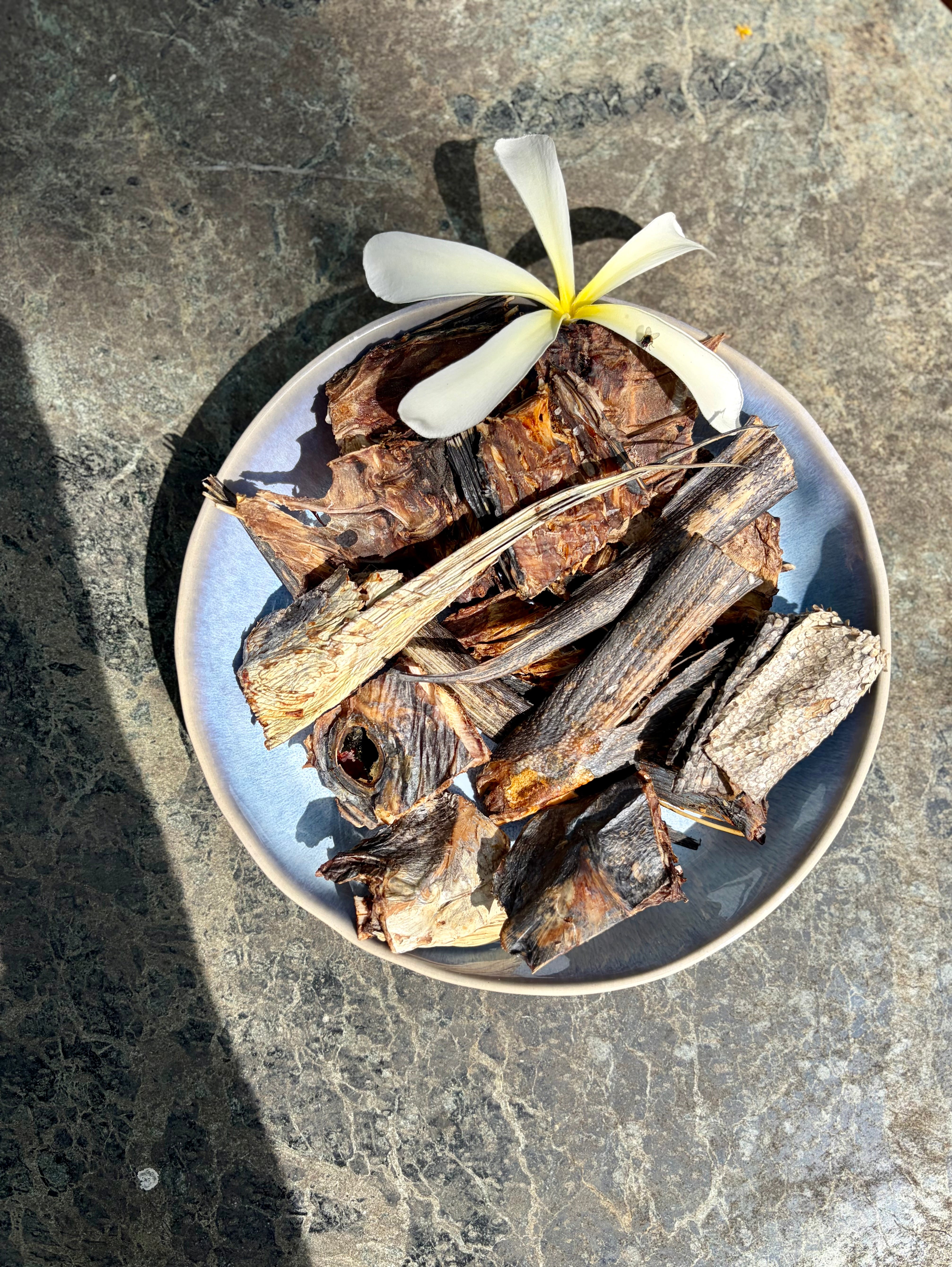 Fish Chewies - Crunchy Chunks
