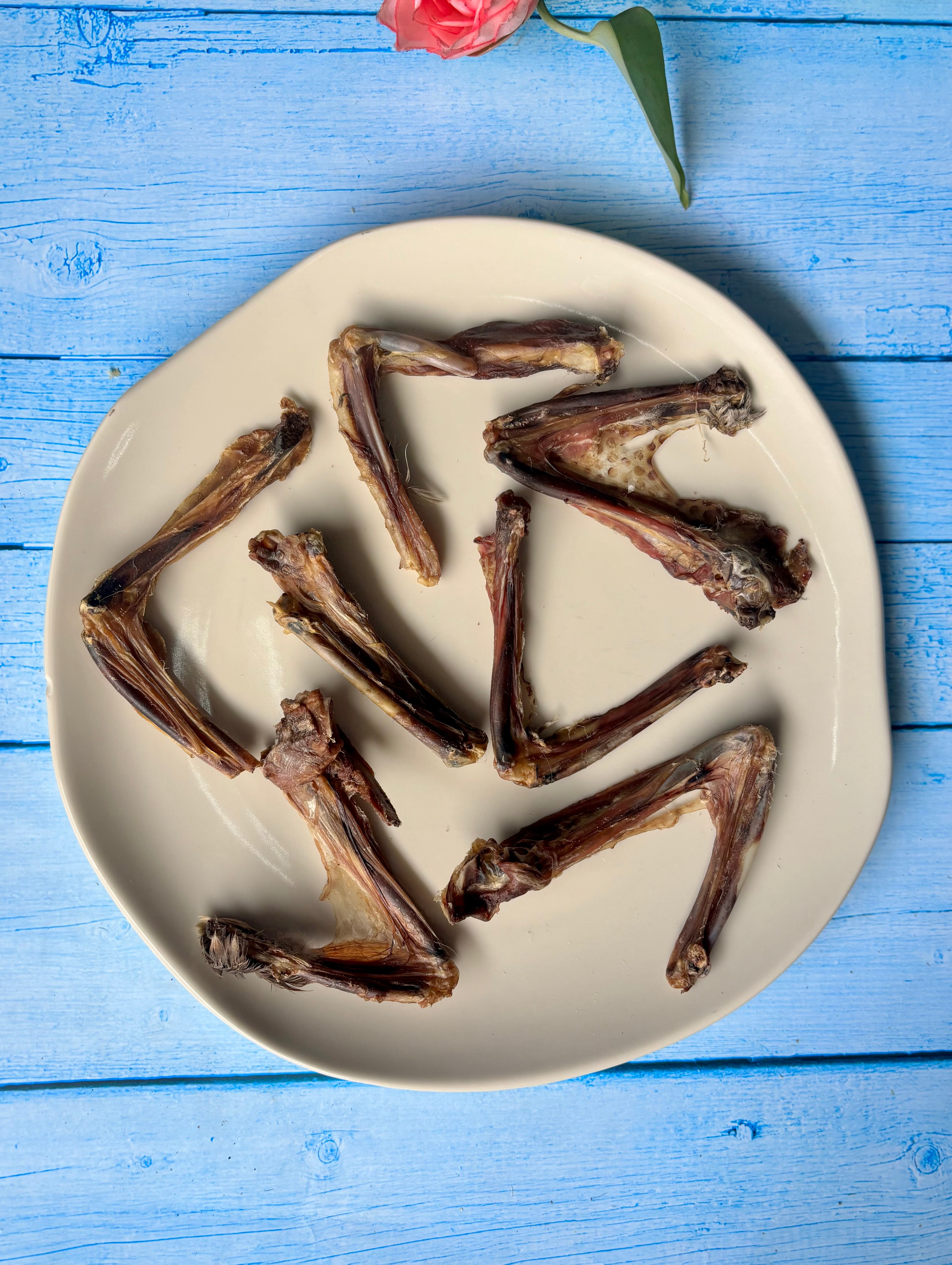 Duck Wings
