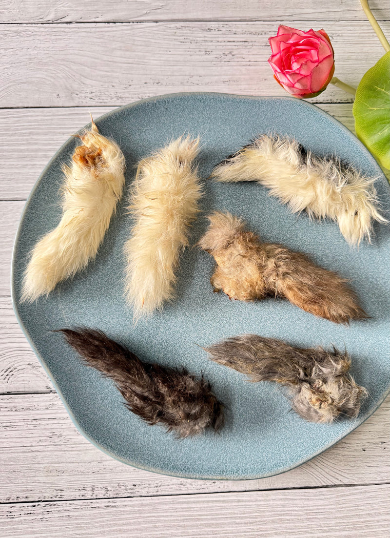 Rabbit Pinkies (Tails) - SPECIAL