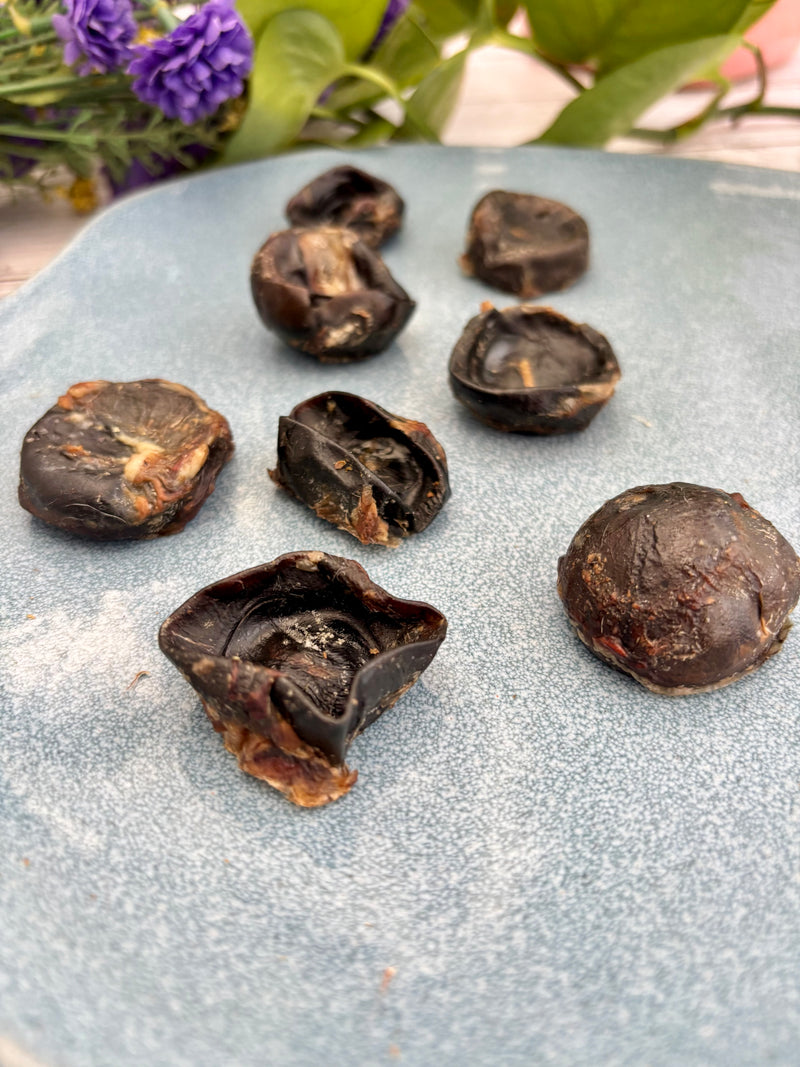 Beef / Buffalo Eyeballs - SPECIAL