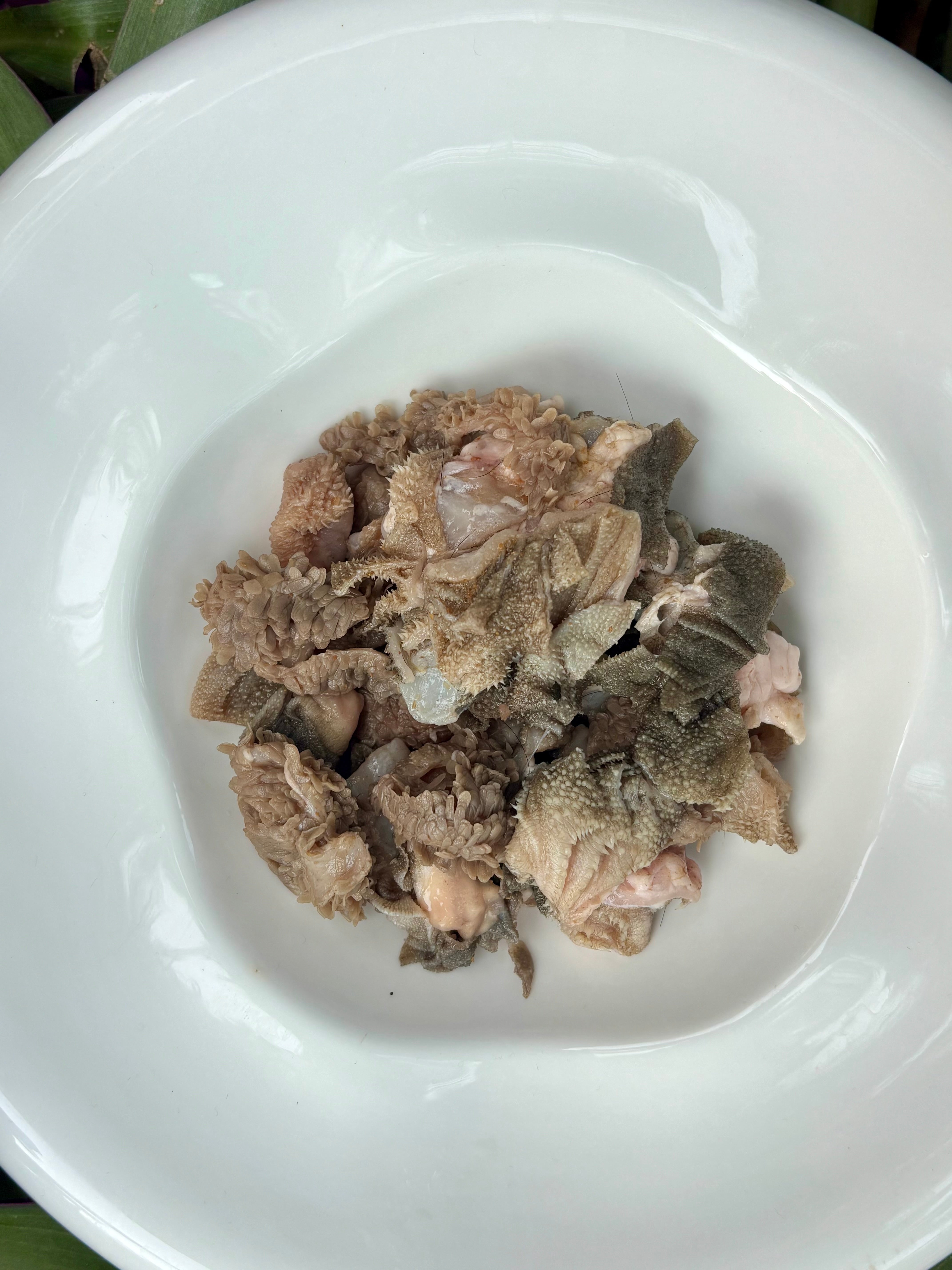 Green Tripe (Goat or Beef)