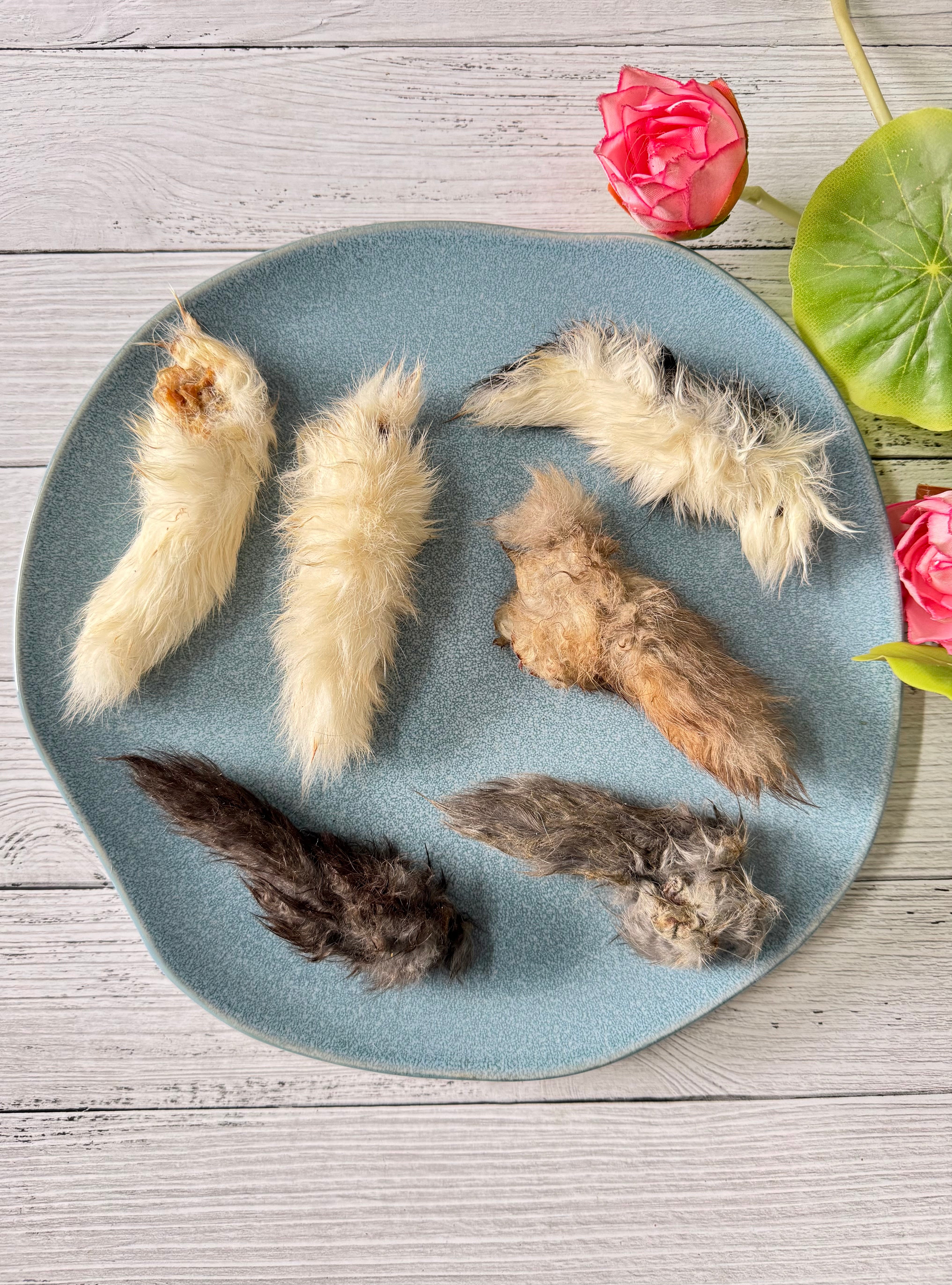 Rabbit Pinkies (Tails) - SPECIAL