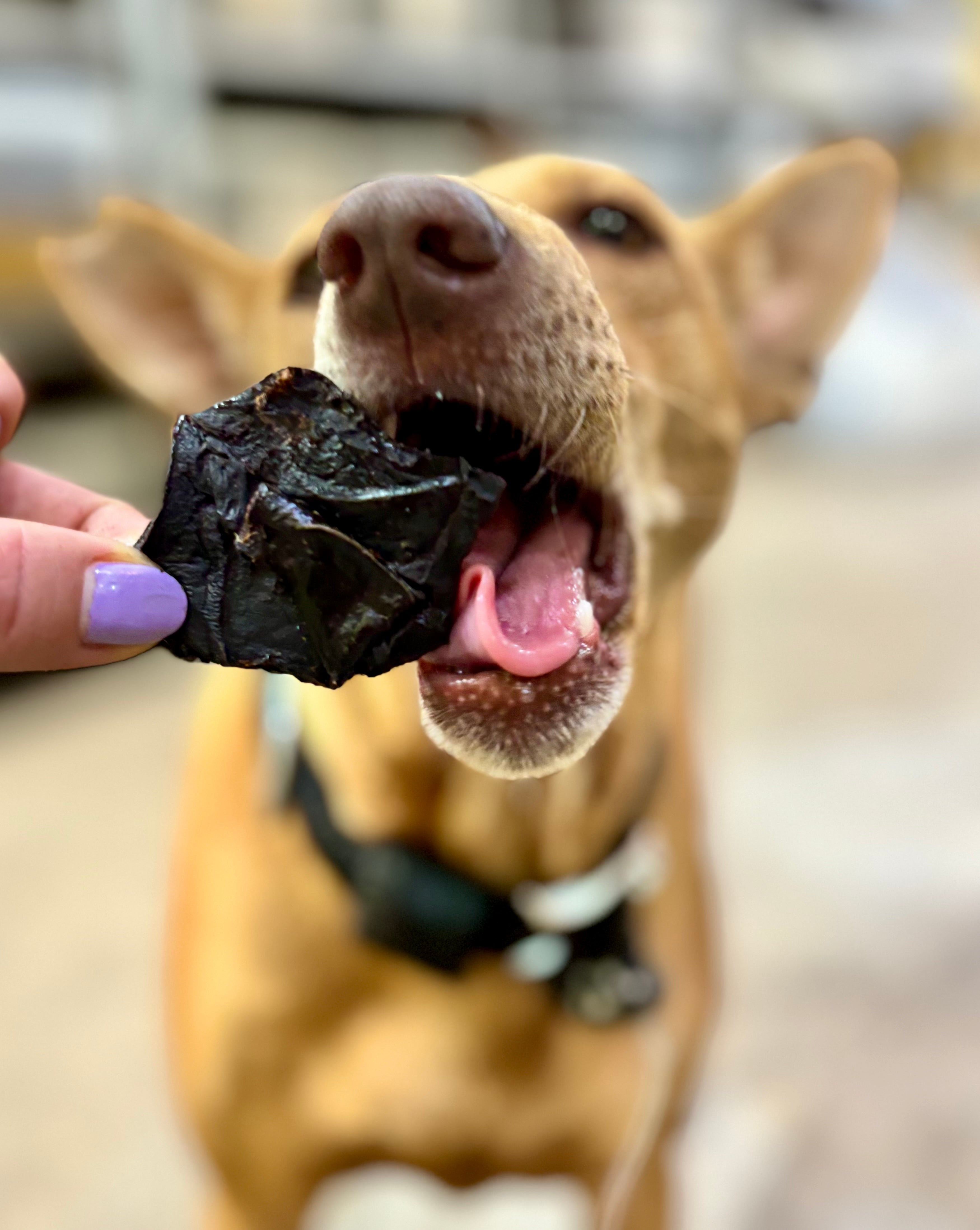 Pork Liver - SPECIAL