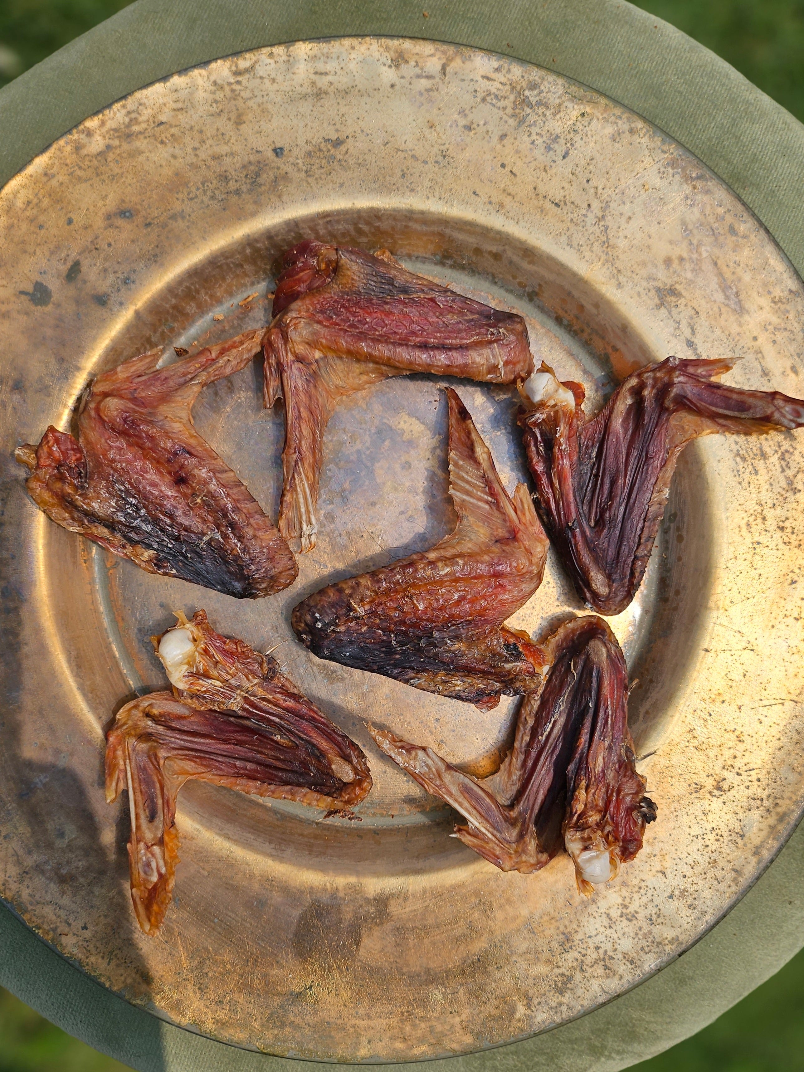 Guinea Fowl Wings