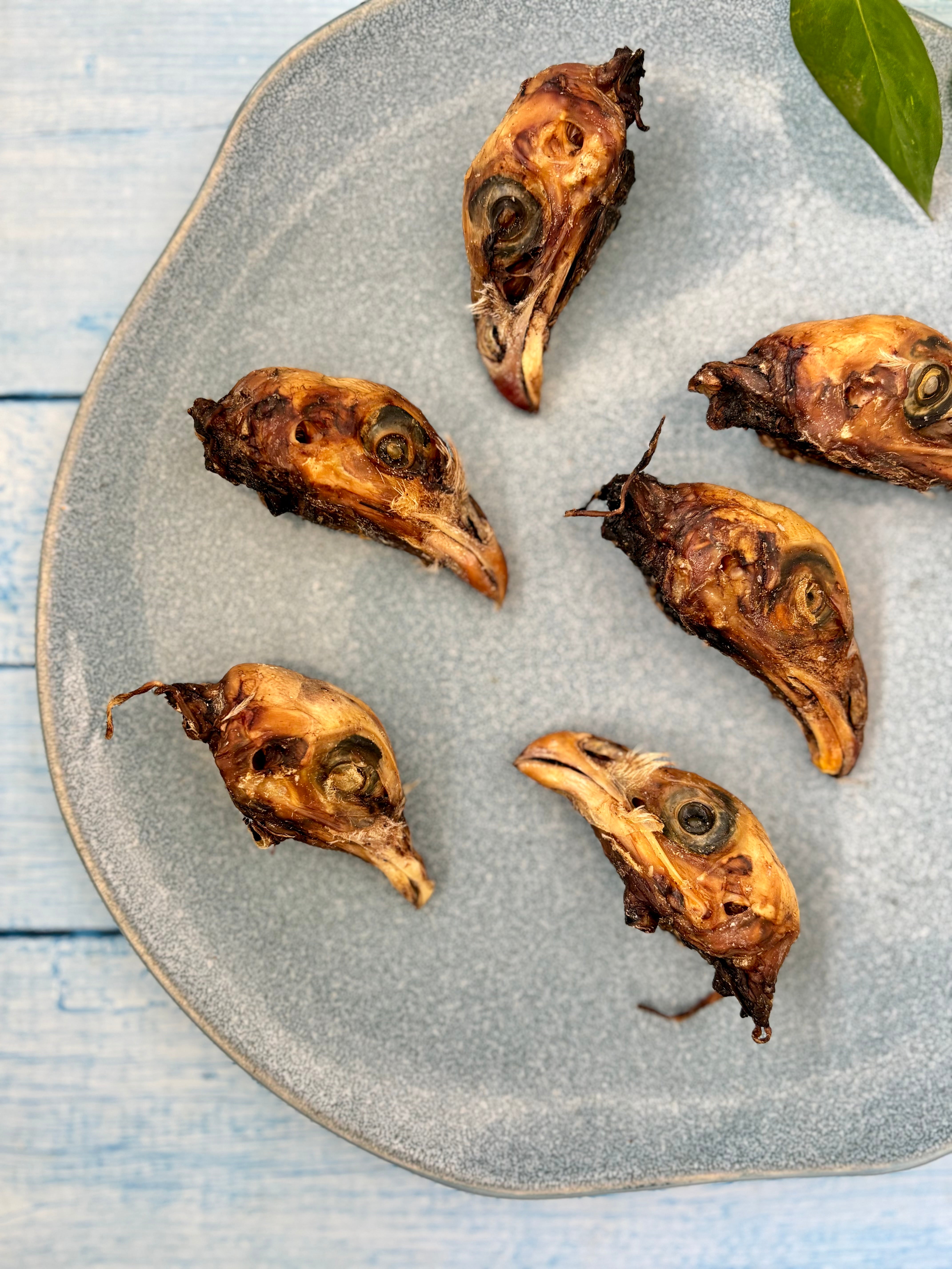 Chicken Heads - SPECIAL