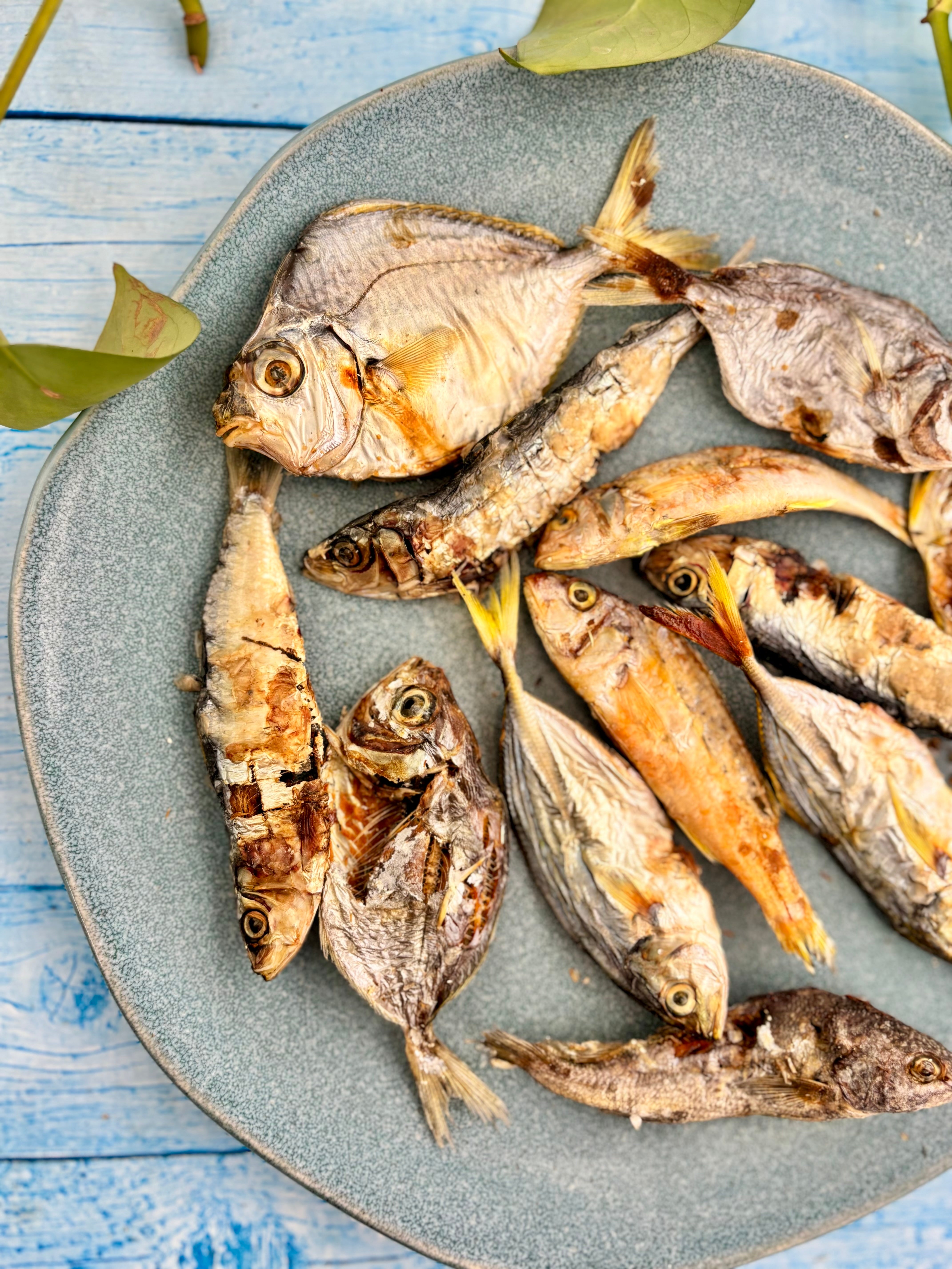 Ocean Mix - small Fish Variety - SPECIAL