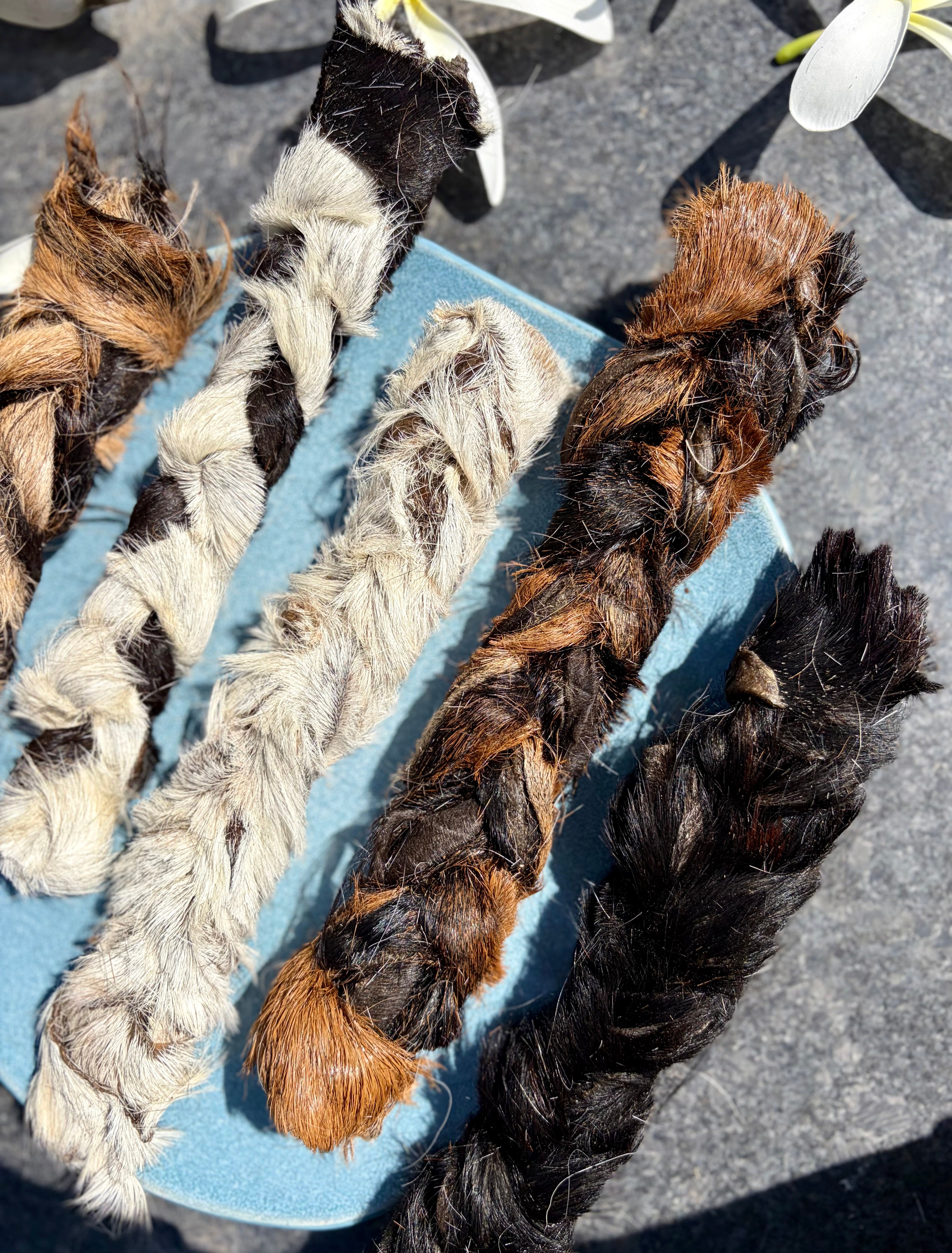 Goat Hide Braid | 100% Skin - SPECIAL