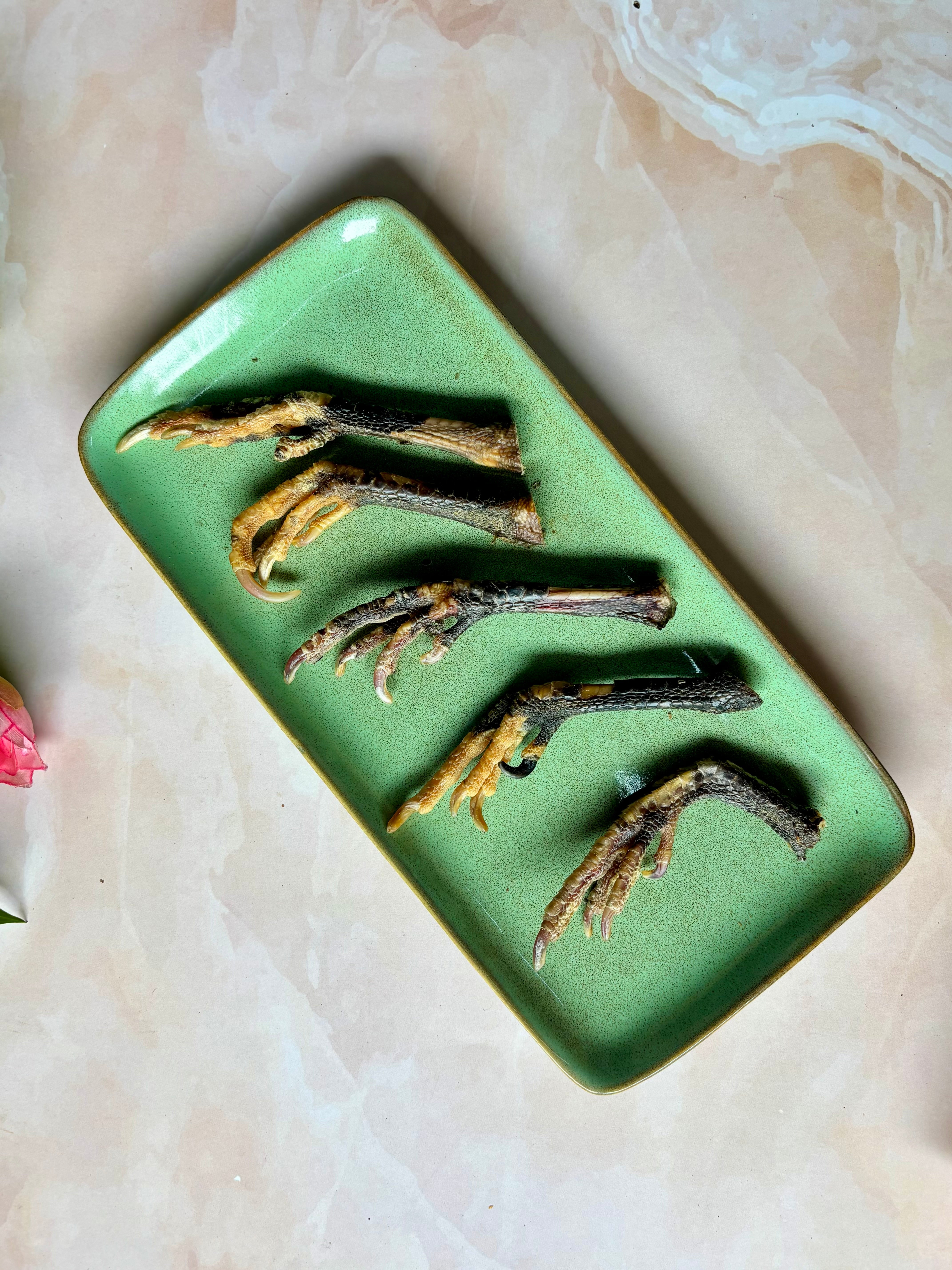 Guinea Fowl Feet - SPECIAL
