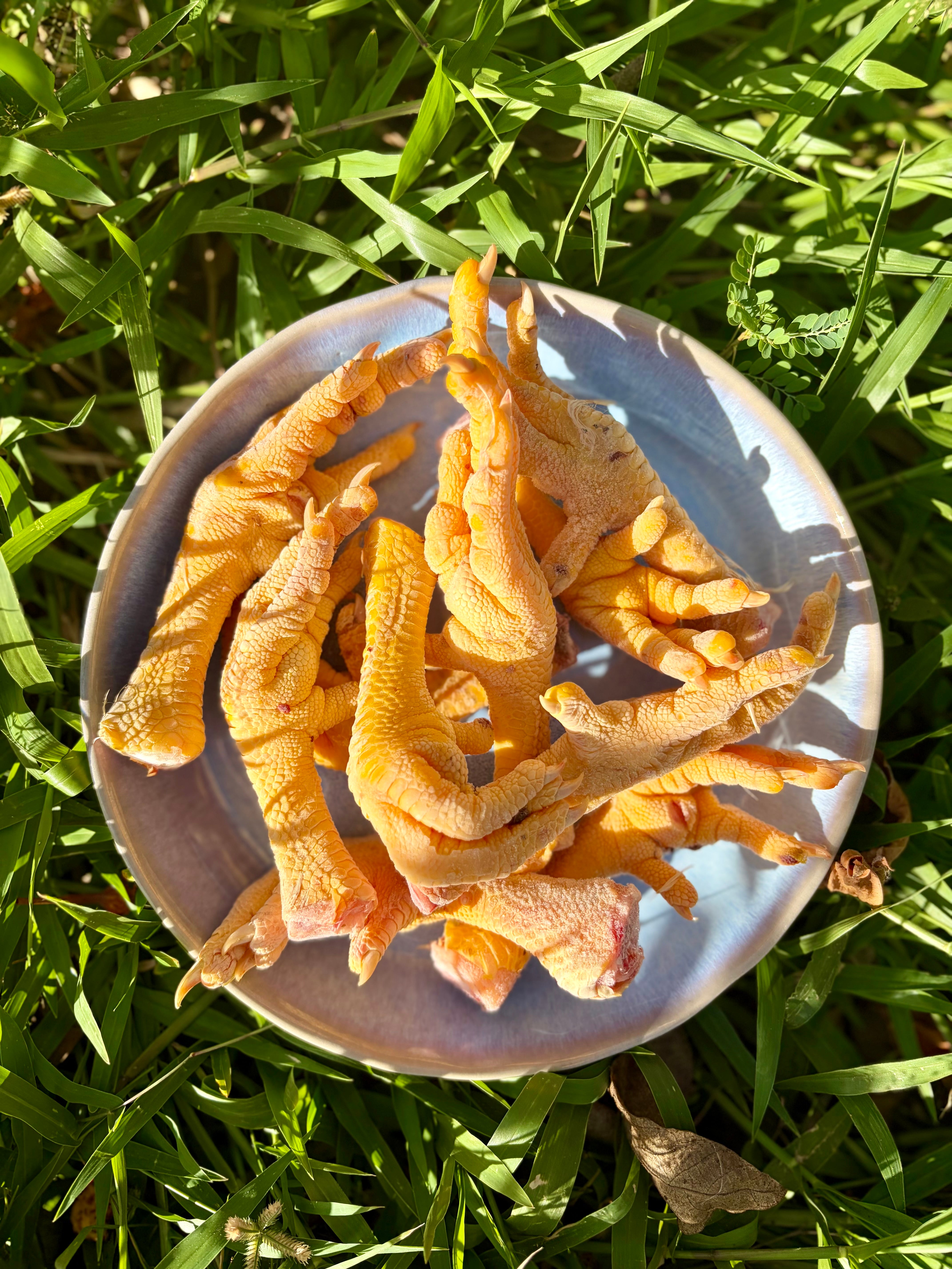 Meaty Chicken Bones