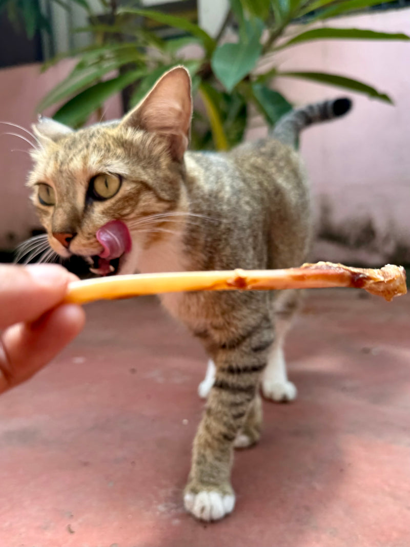 Turkey Chewsticks for Cats & small Dogs - 5 PC