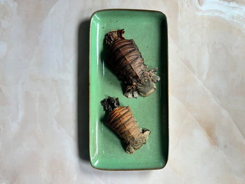 Lobster Tails 2 PC - SPECIAL