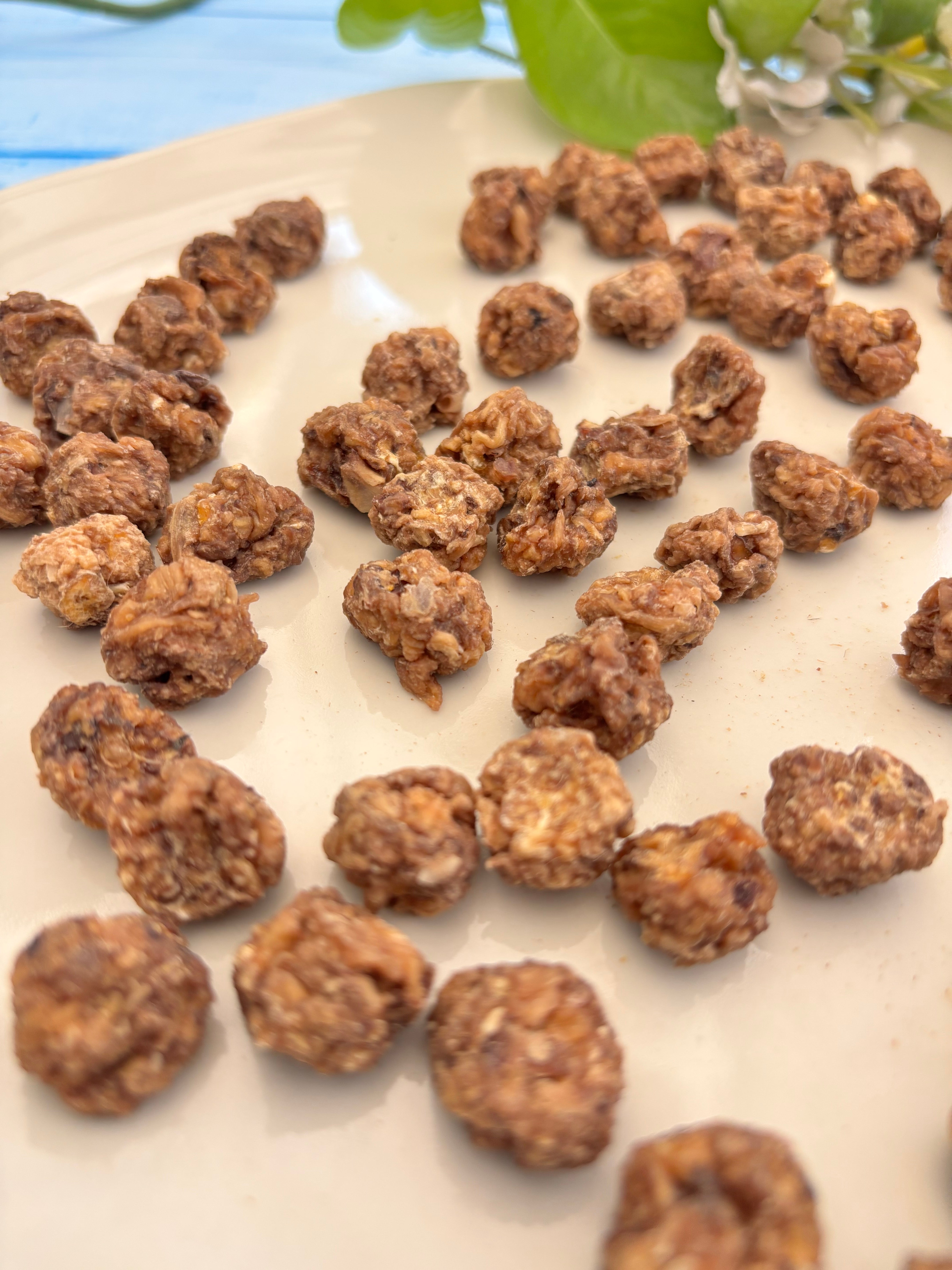 Chicken Crunchy Bites - SPECIAL