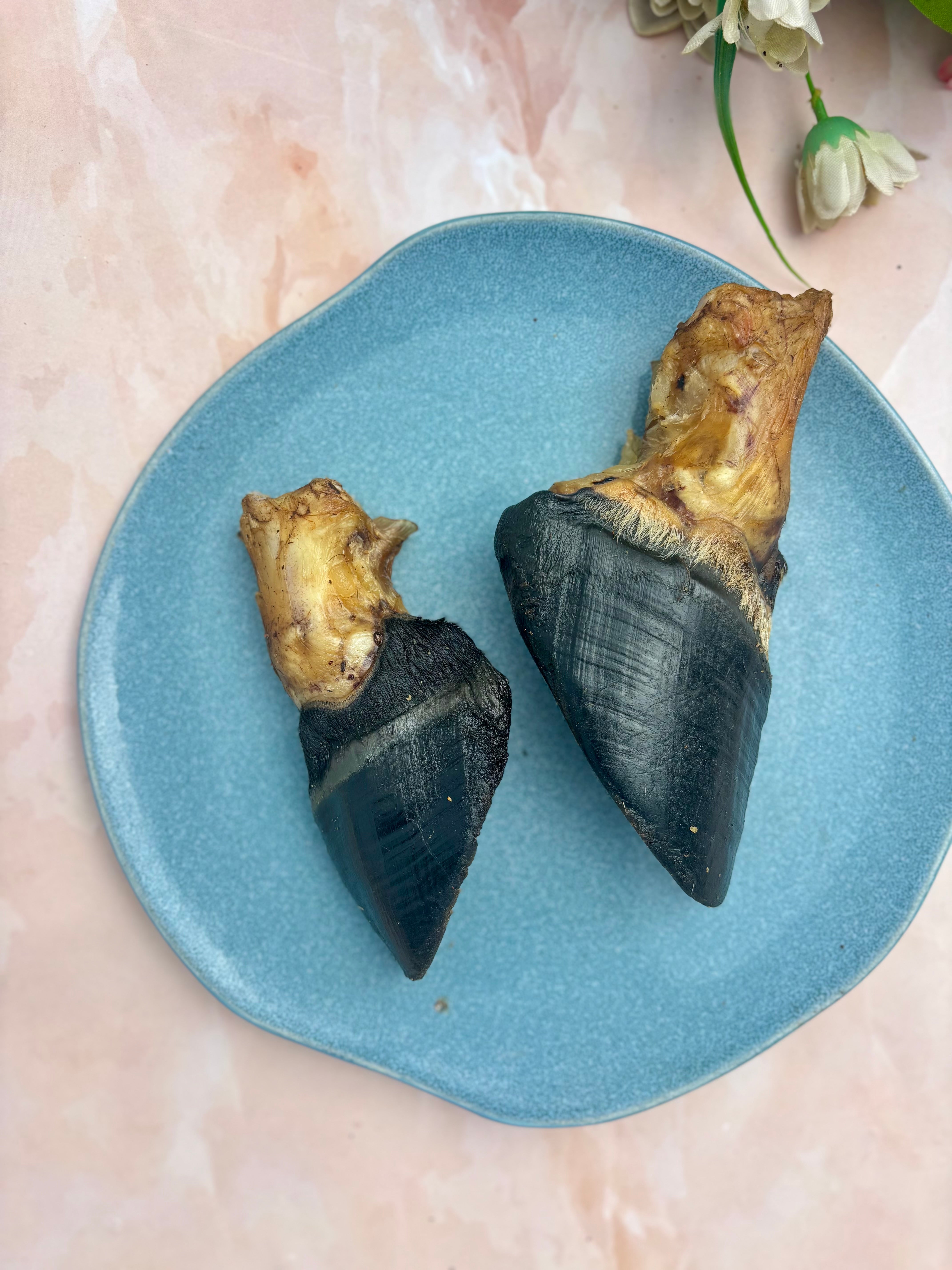 Beef Trotter Chew