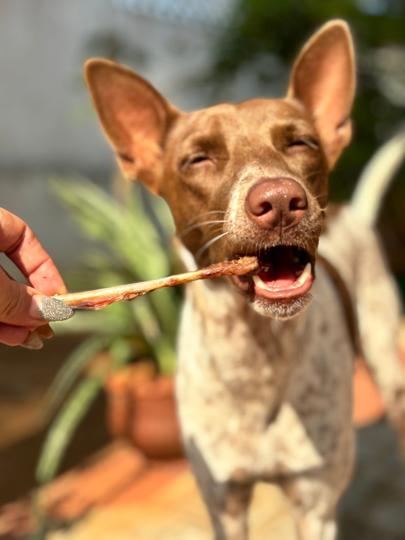 Turkey Chewsticks for Cats & small Dogs - 5 PC