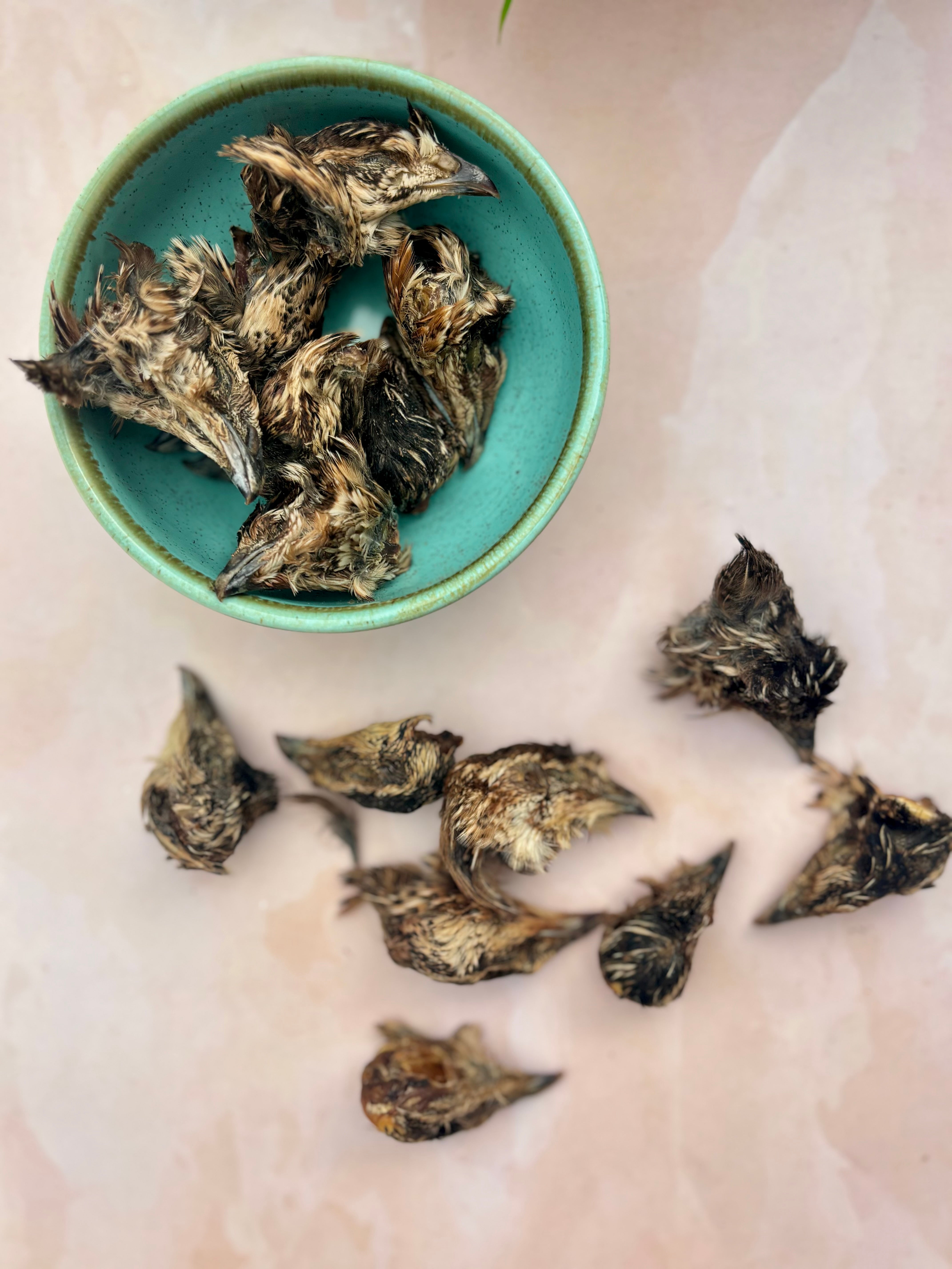 Quail Crunchy Heads