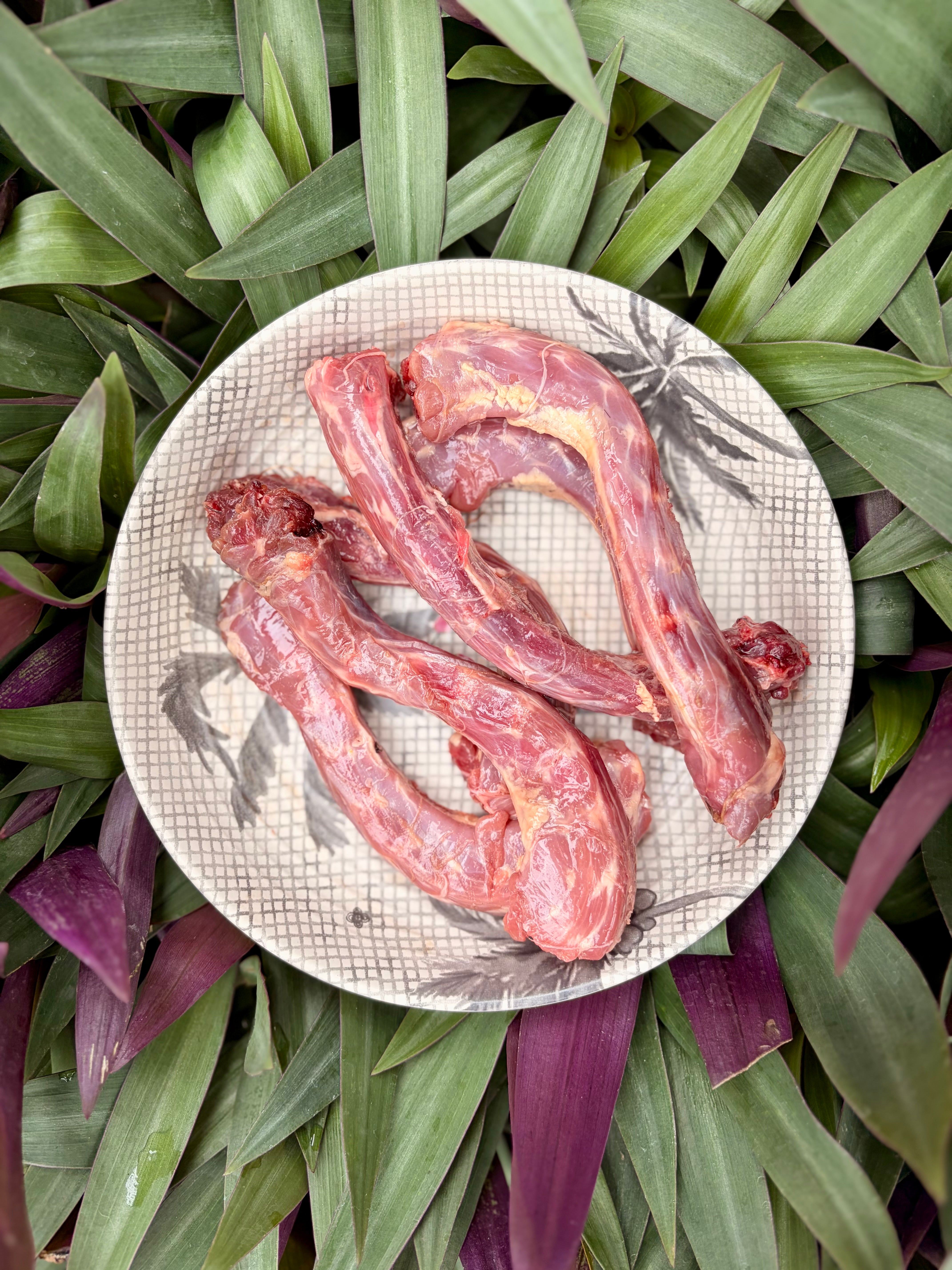 Duck Bones (Variety)