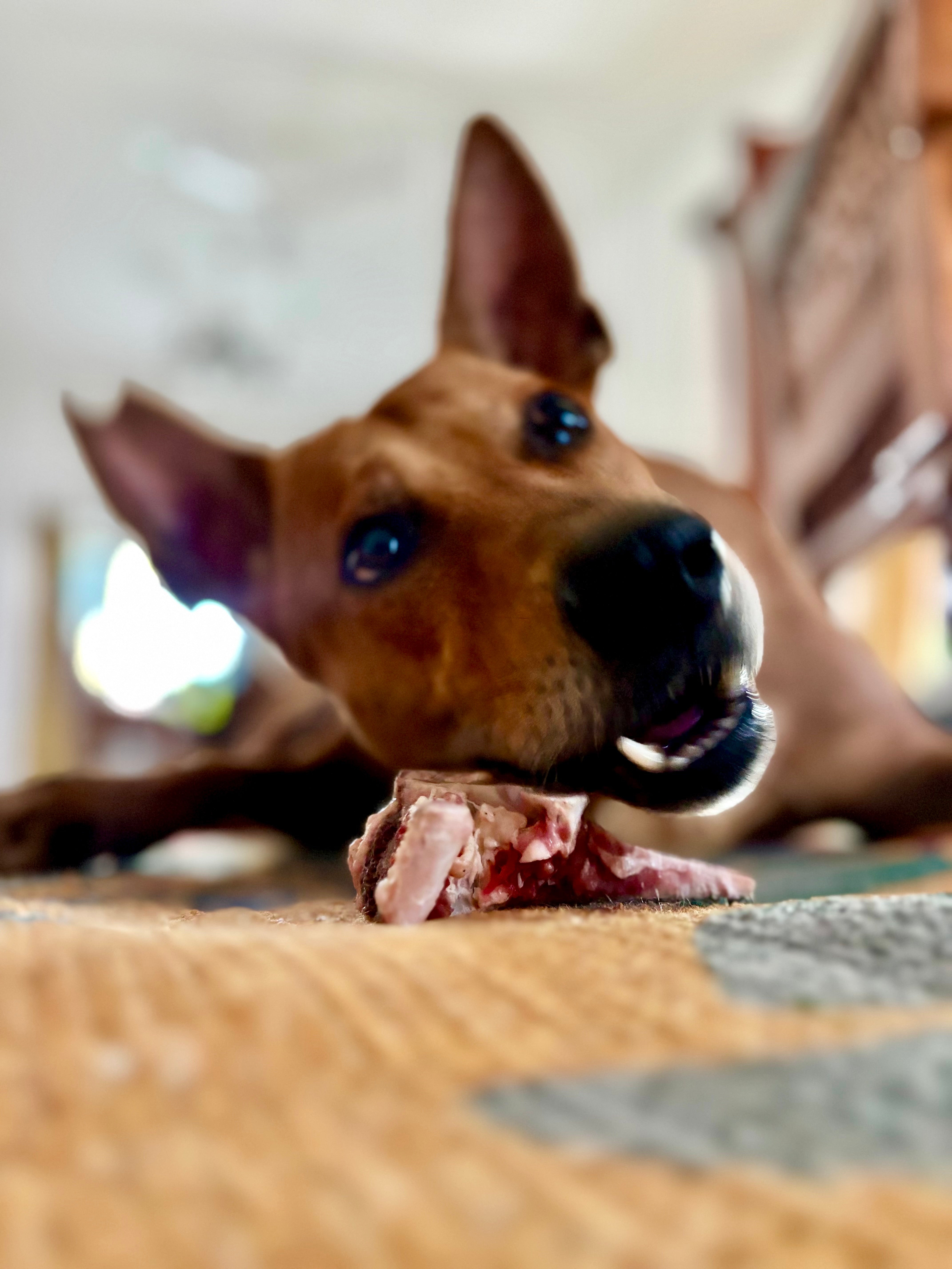 Goat Bones (Variety)