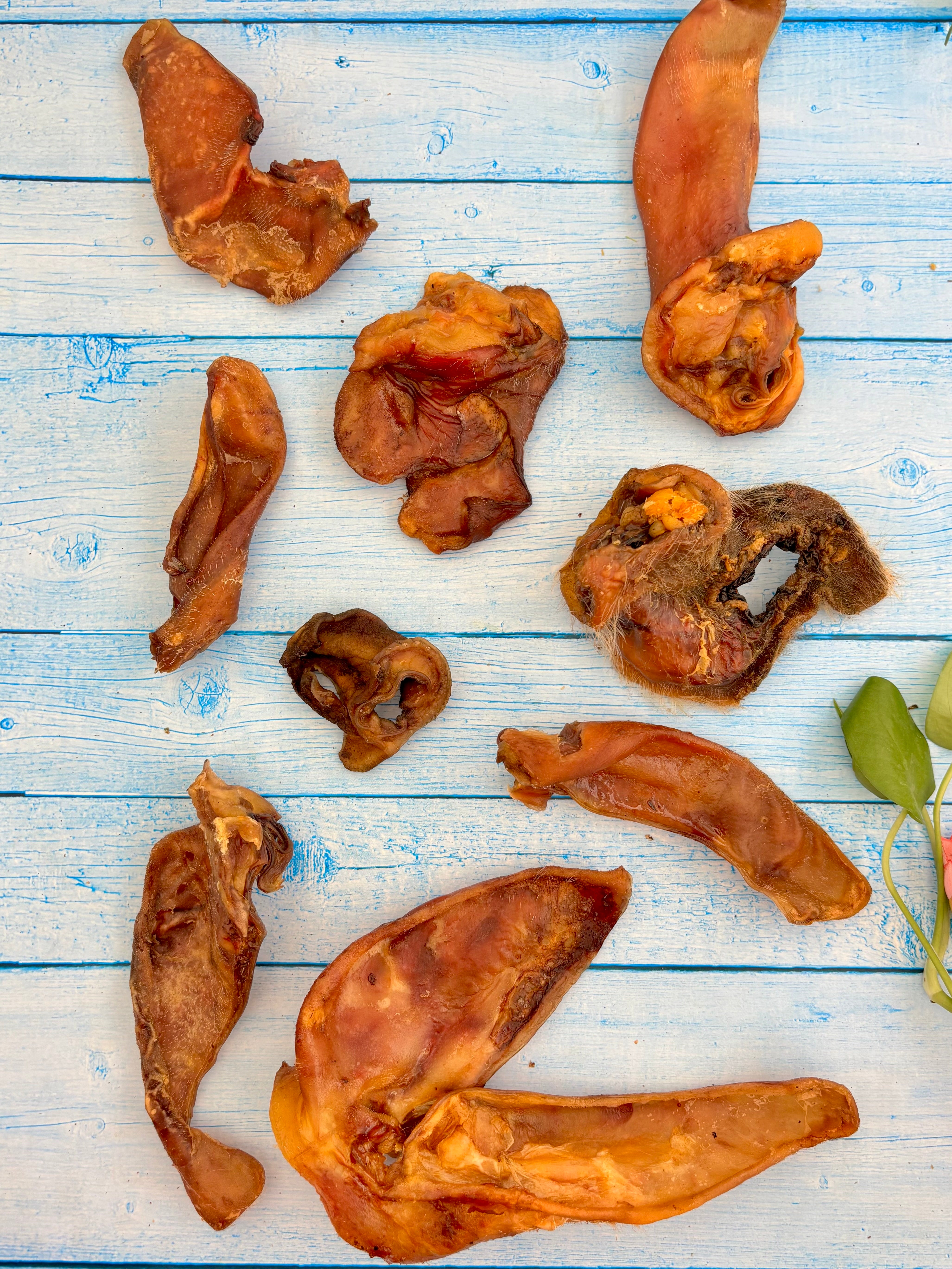 Pork Ear Cut-Offs - boneless Combo