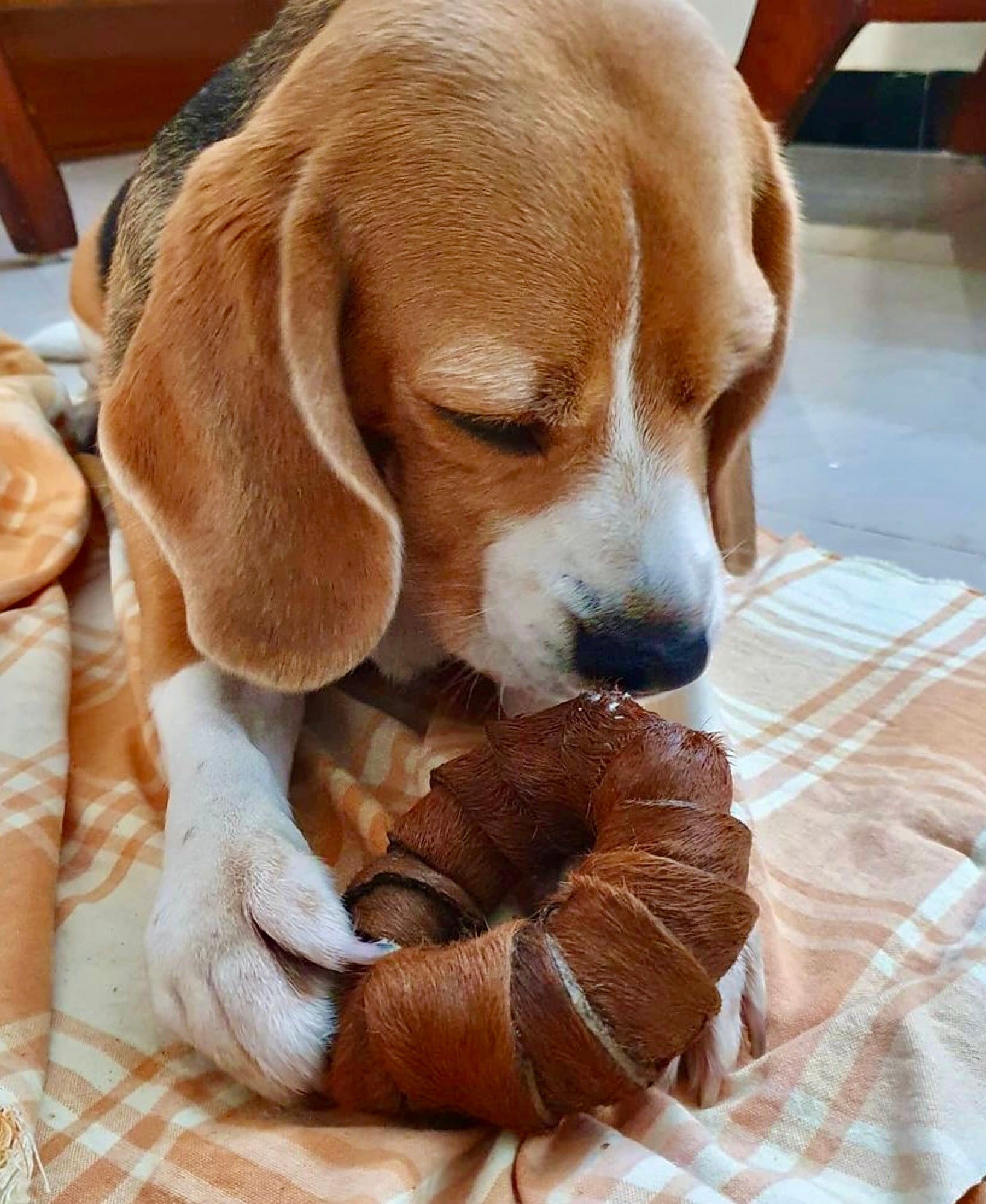 Real Hide - Rings | 100% Skin