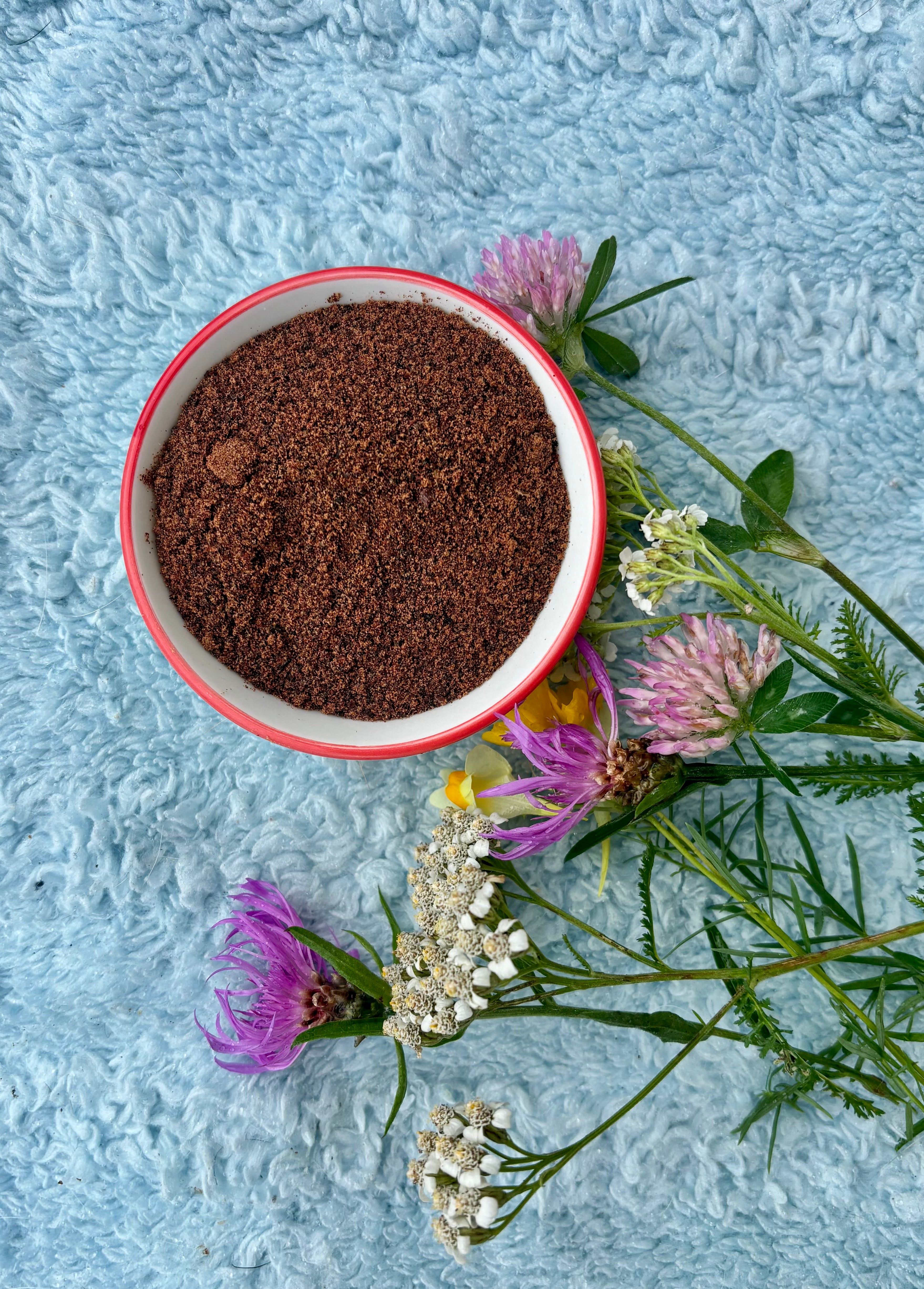 Chicken Organ Blend - Multivitamin Powder