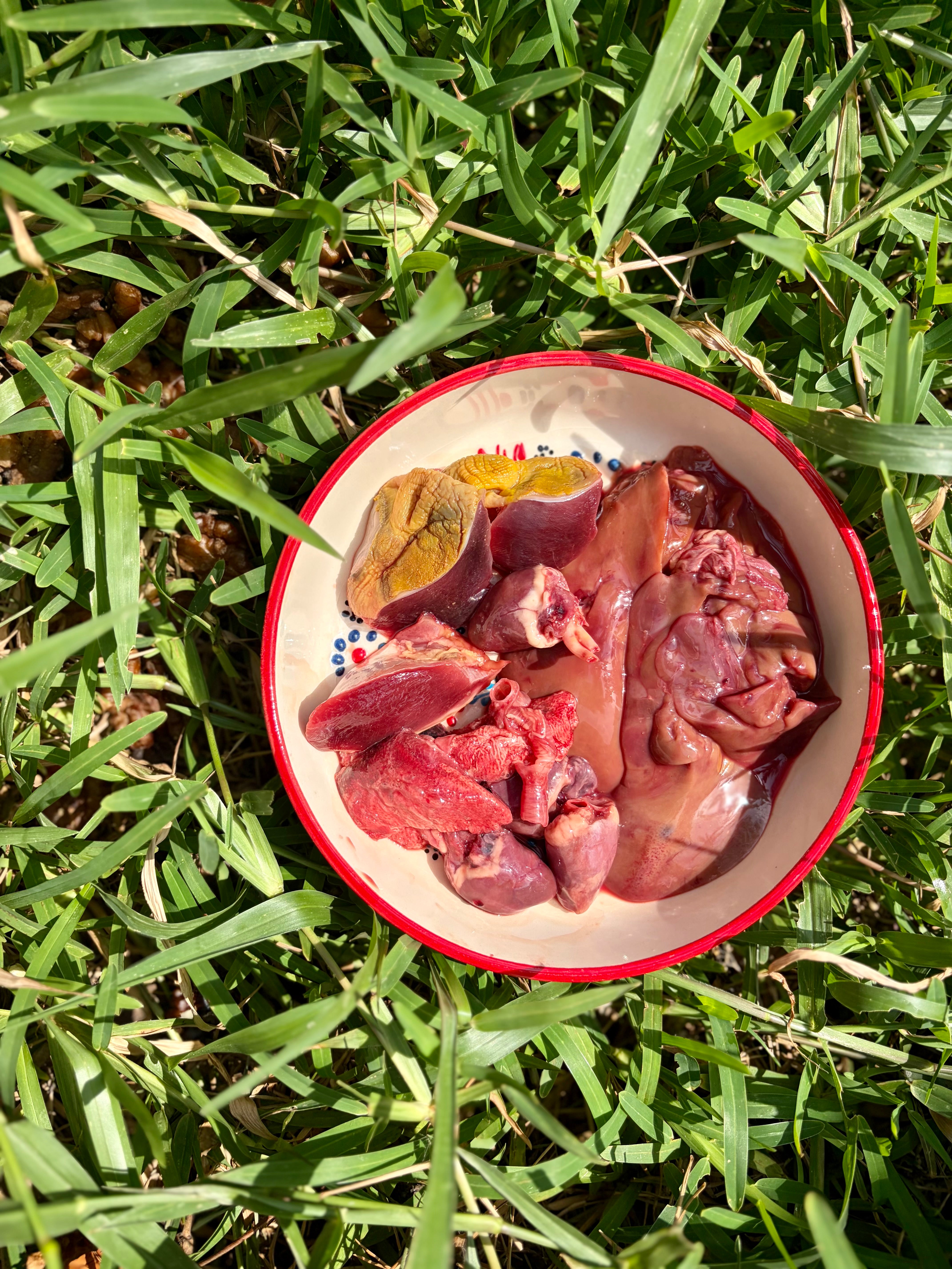 Duck Organs (Variety)