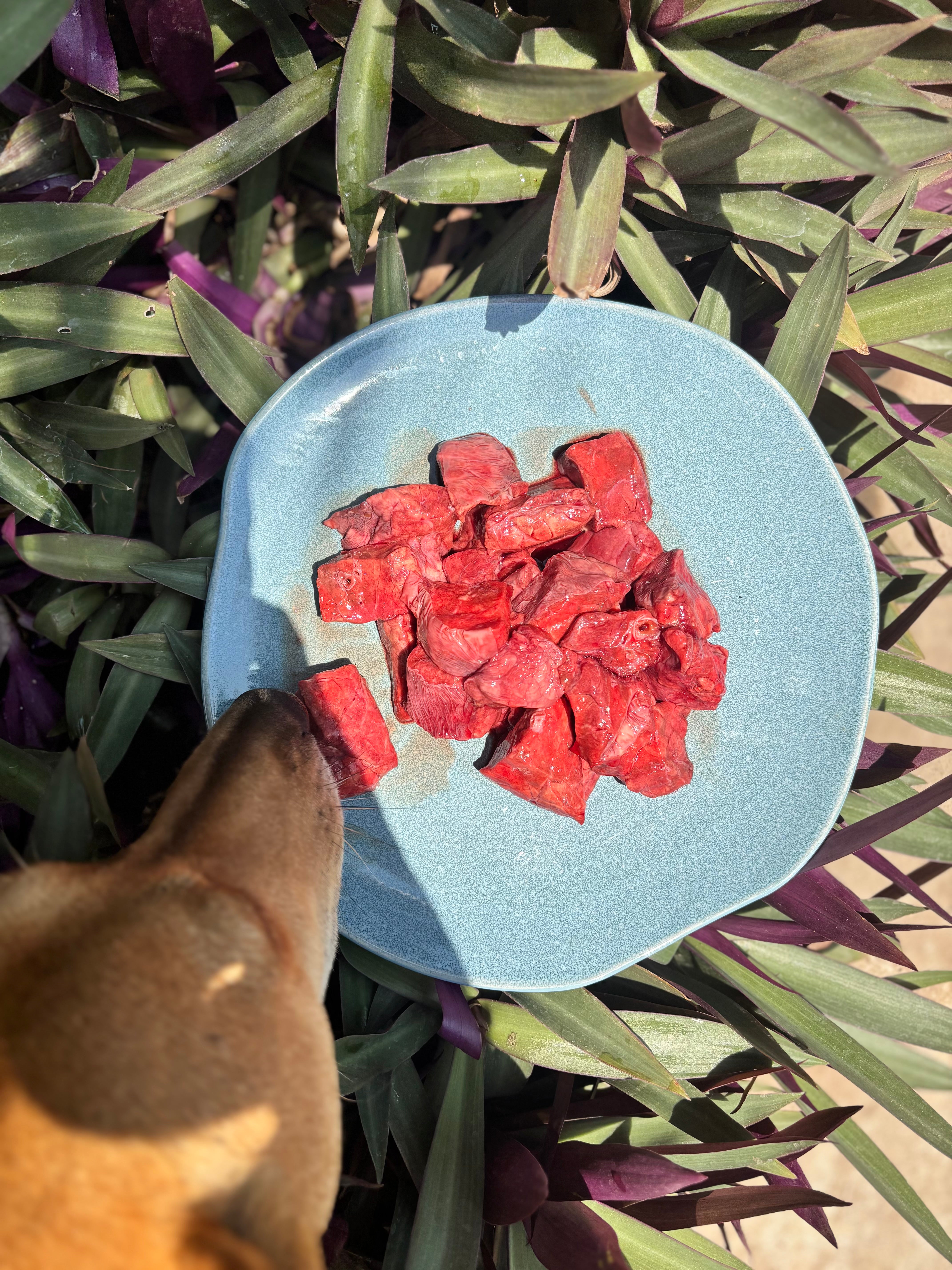 Goat Organs (Variety)